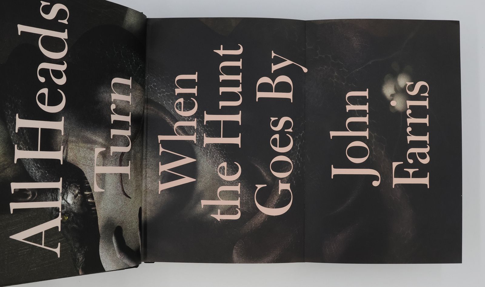 ALL HEADS TURN WHEN THE HUNT GOES BY -  image 3