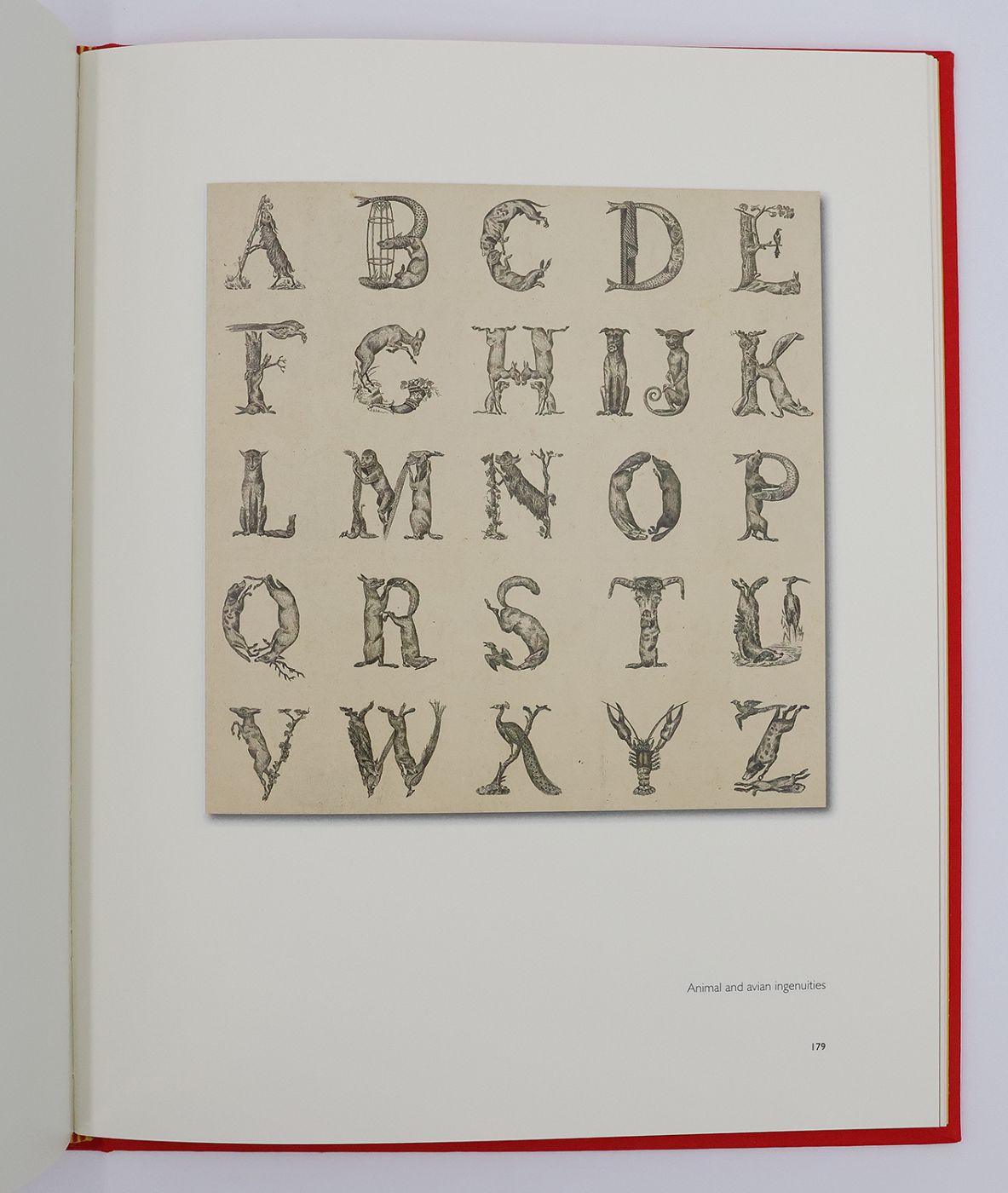 ALPHABETS -  image 6