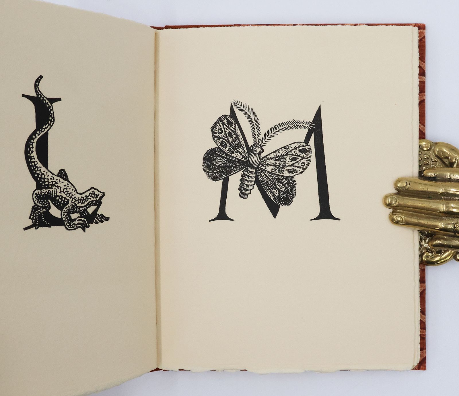 AN ALPHABET -  image 6