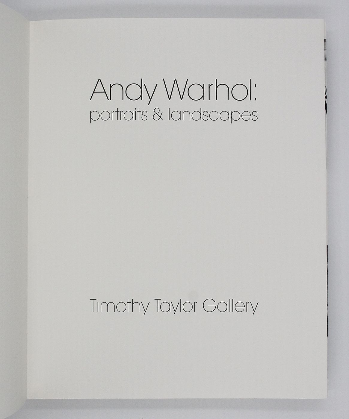 ANDY WARHOL: PORTRAITS AND LANDSCAPES -  image 4
