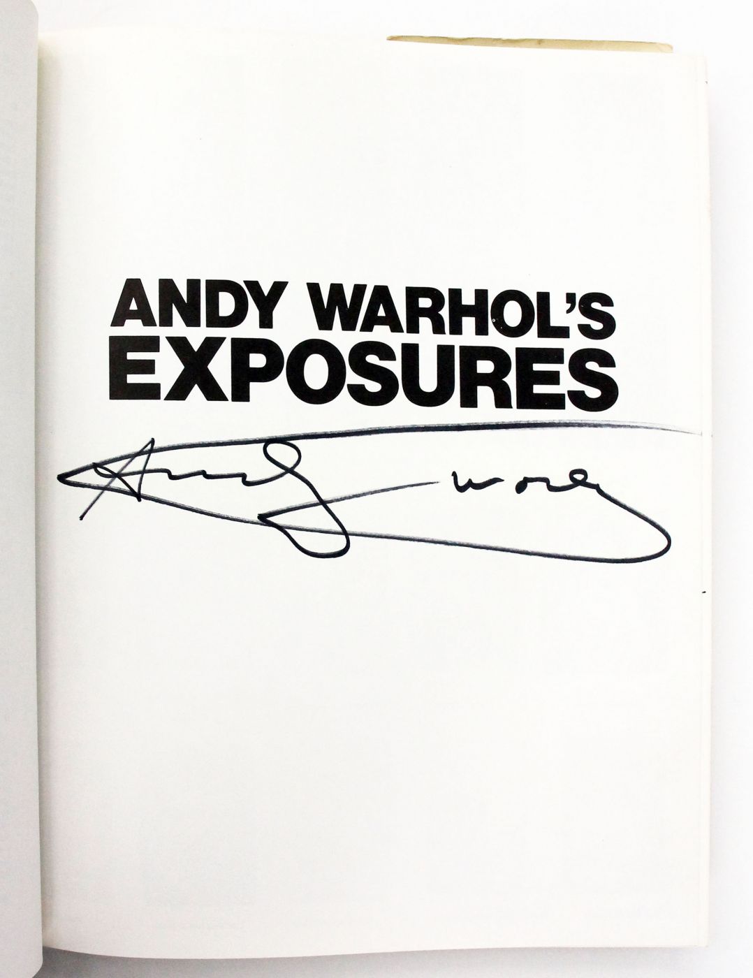 ANDY WARHOL'S EXPOSURES -  image 2