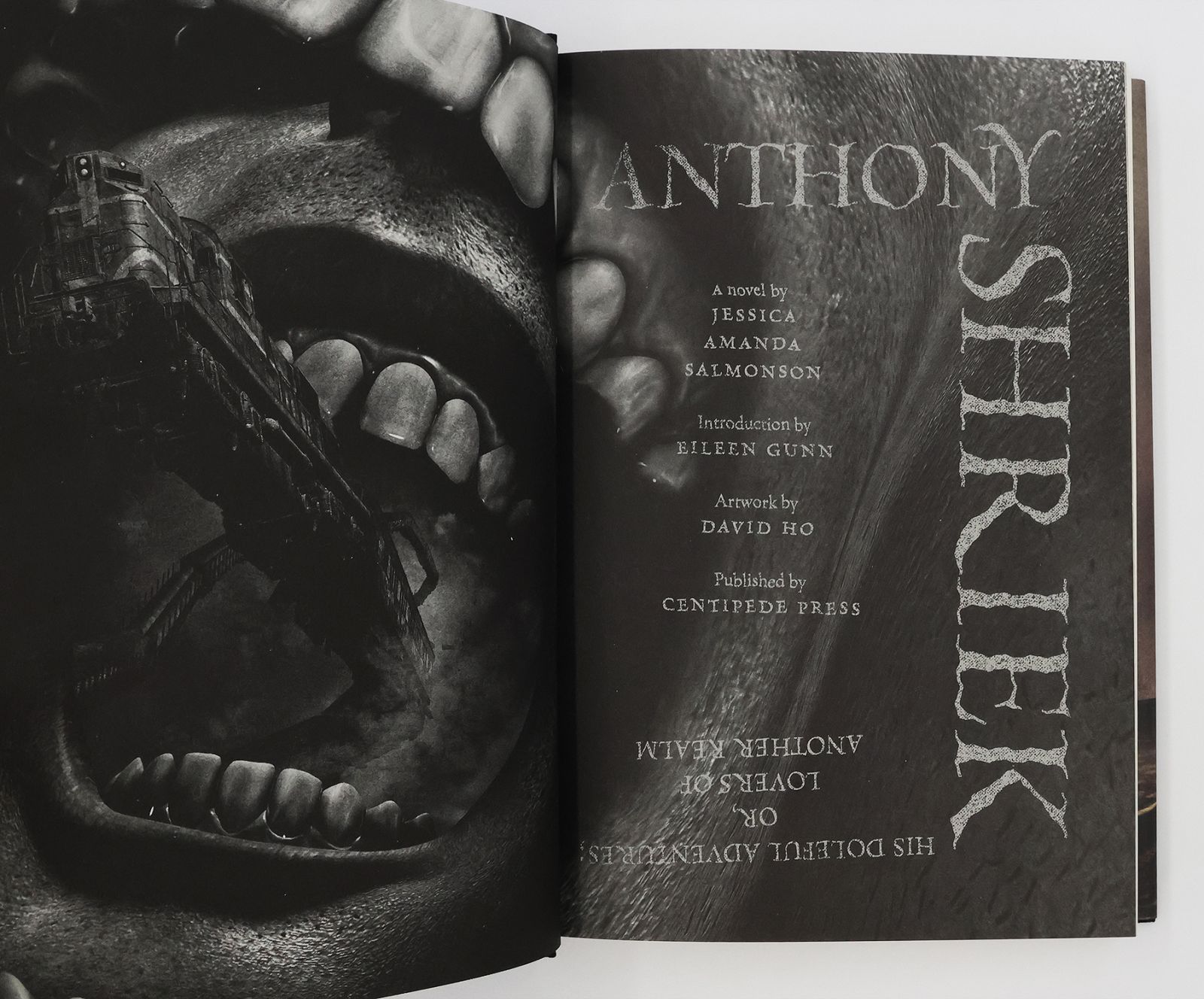 ANTHONY SHRIEK: -  image 4