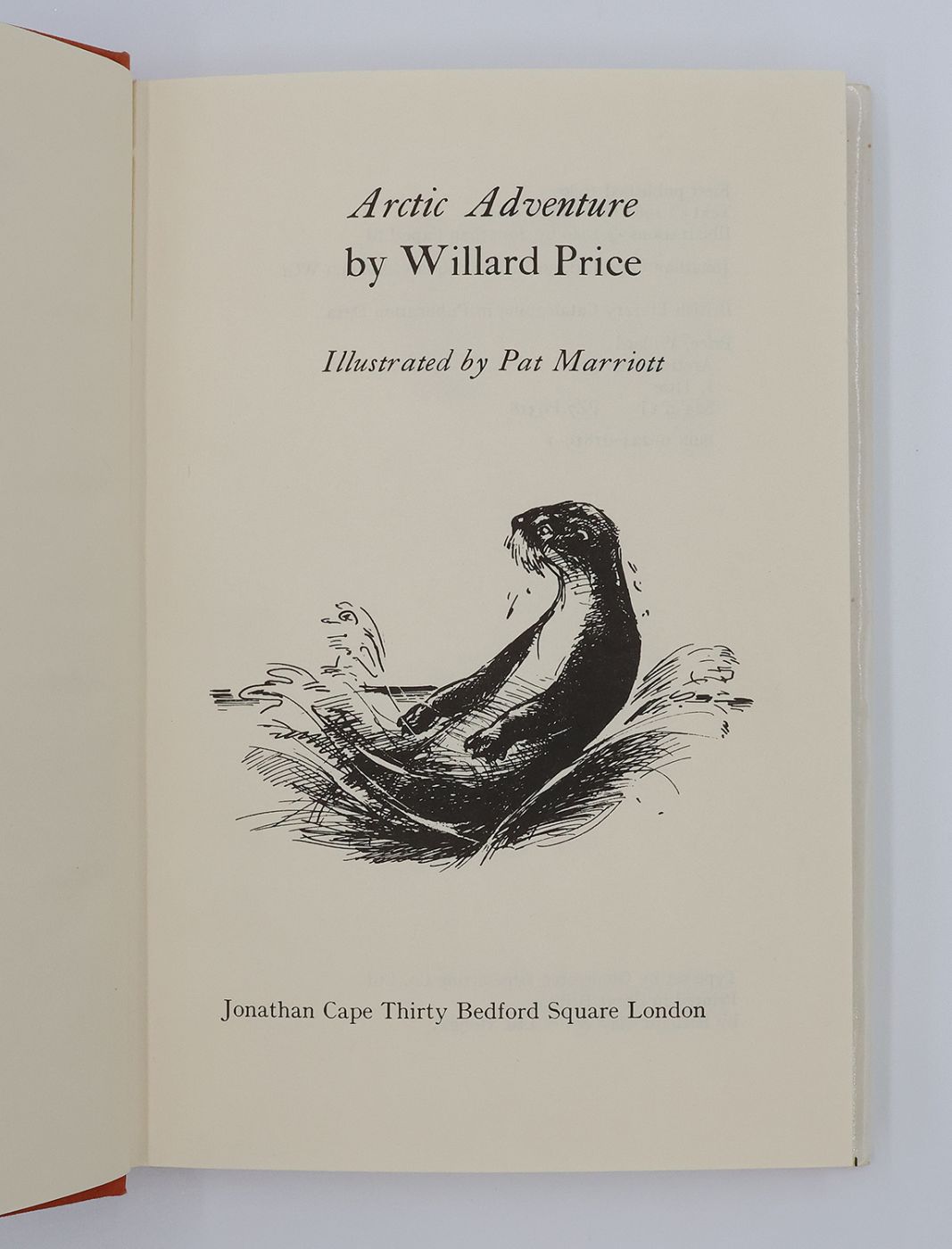 ARCTIC ADVENTURE -  image 4