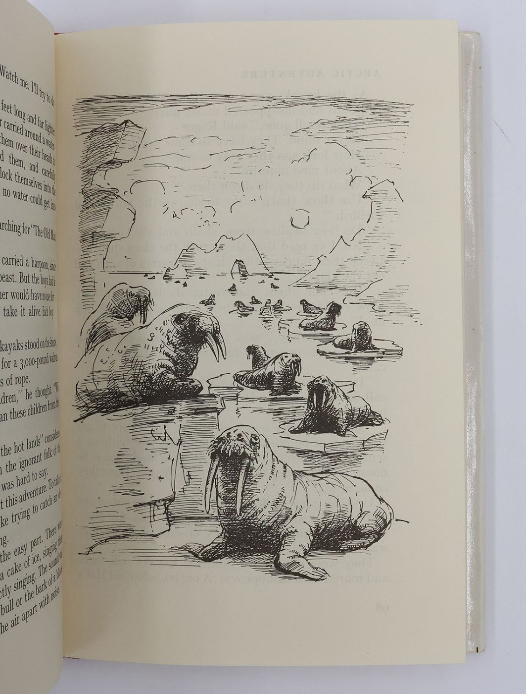 ARCTIC ADVENTURE -  image 5