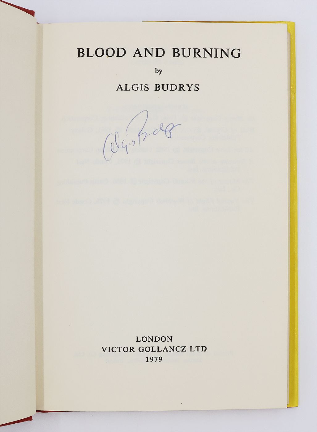 BLOOD AND BURNING -  image 2