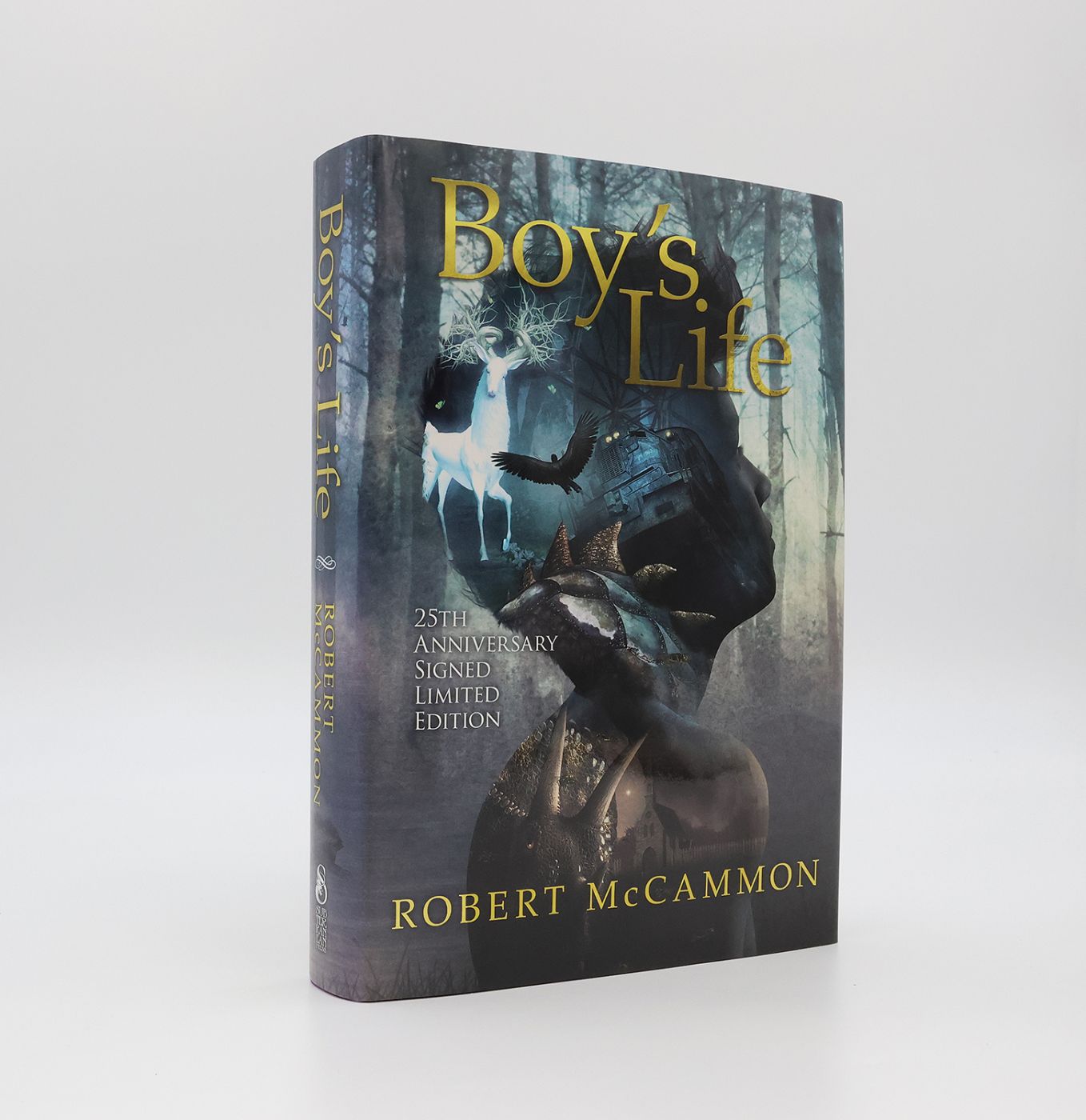 BOY'S LIFE -  image 2