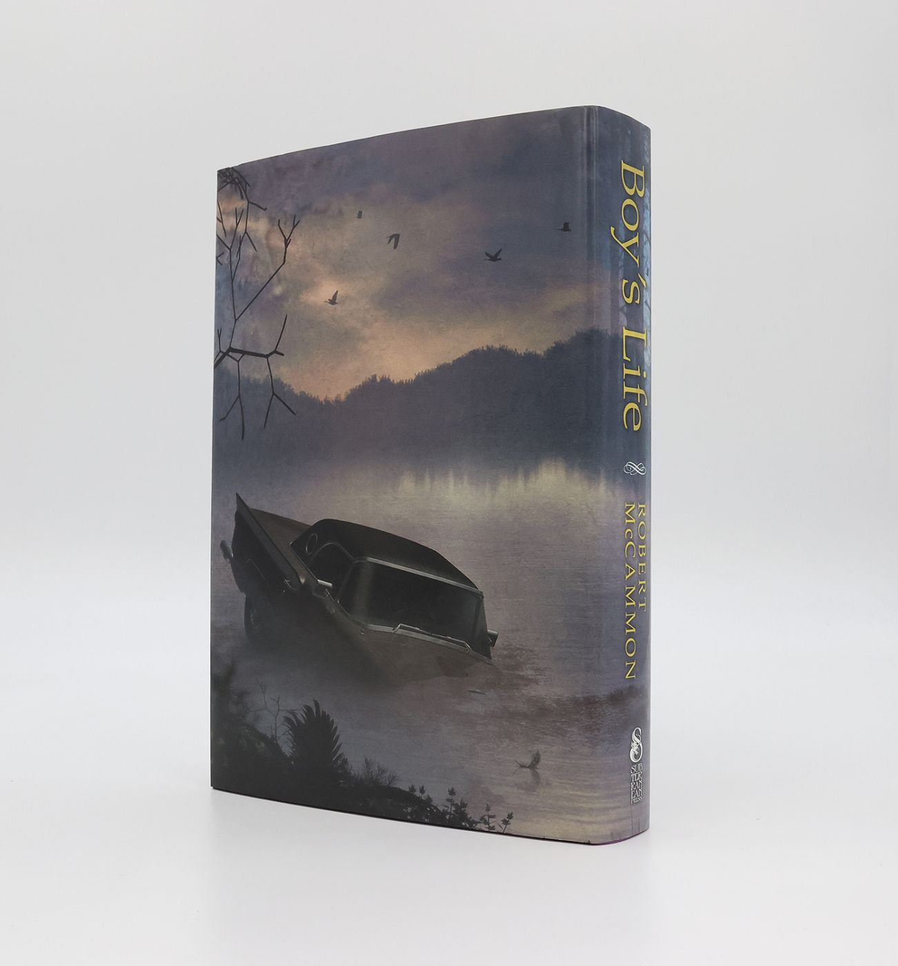 BOY'S LIFE -  image 3