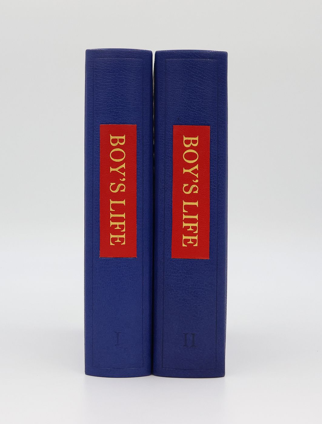 BOY'S LIFE -  image 3