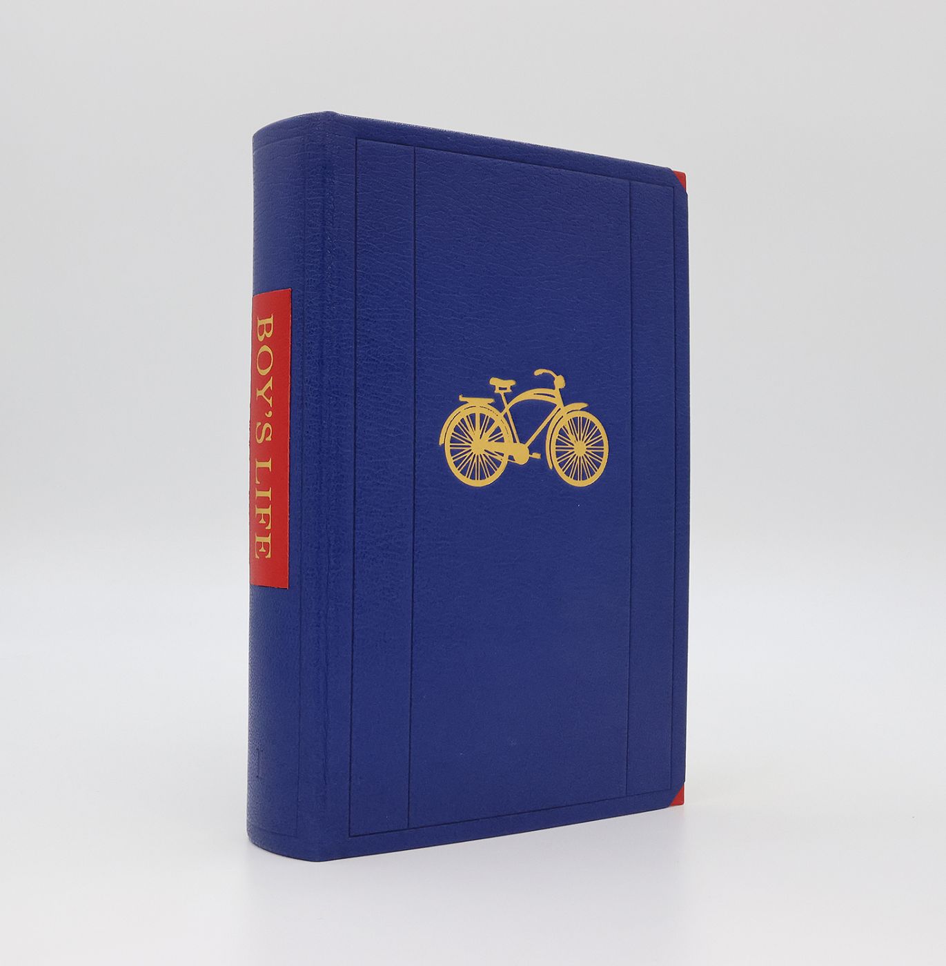 BOY'S LIFE -  image 4