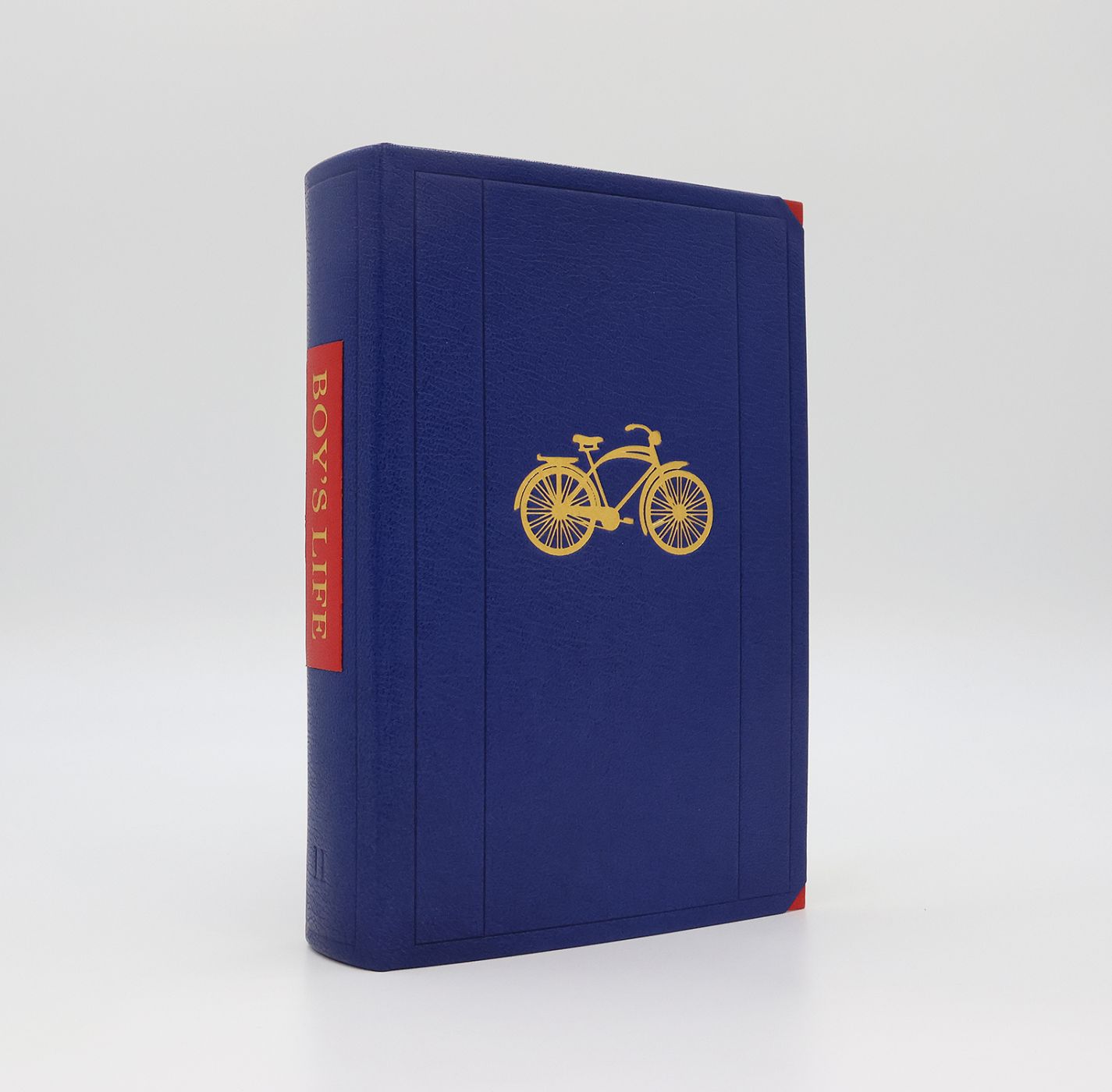 BOY'S LIFE -  image 6