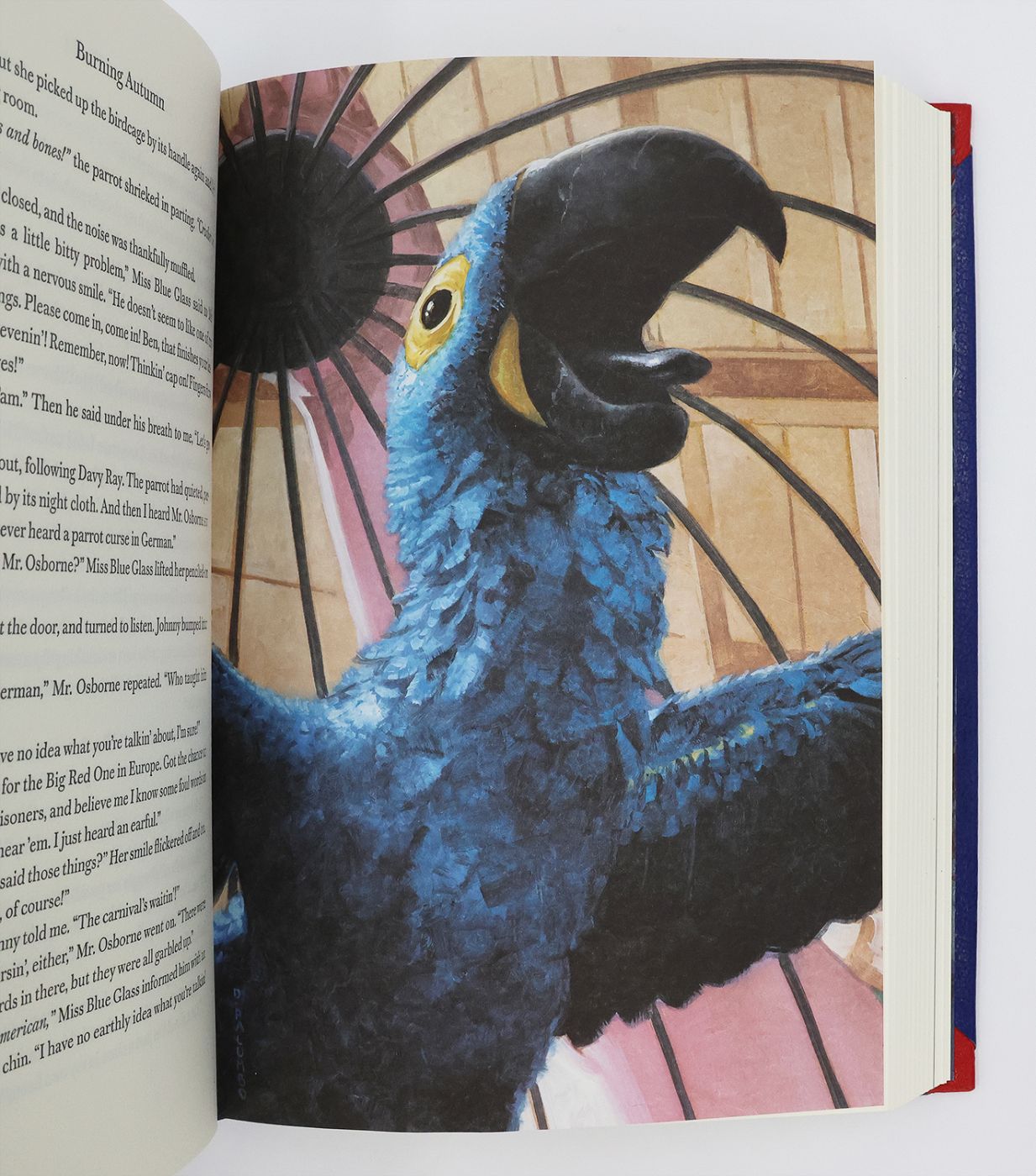 BOY'S LIFE -  image 8