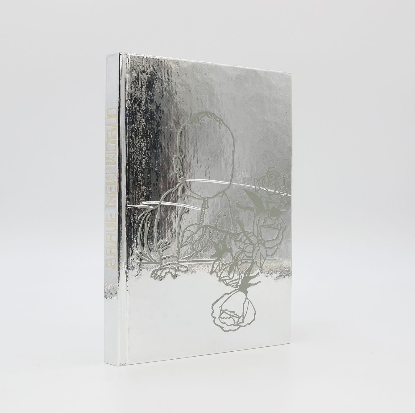 BRAVE NEW WORLD -  image 2