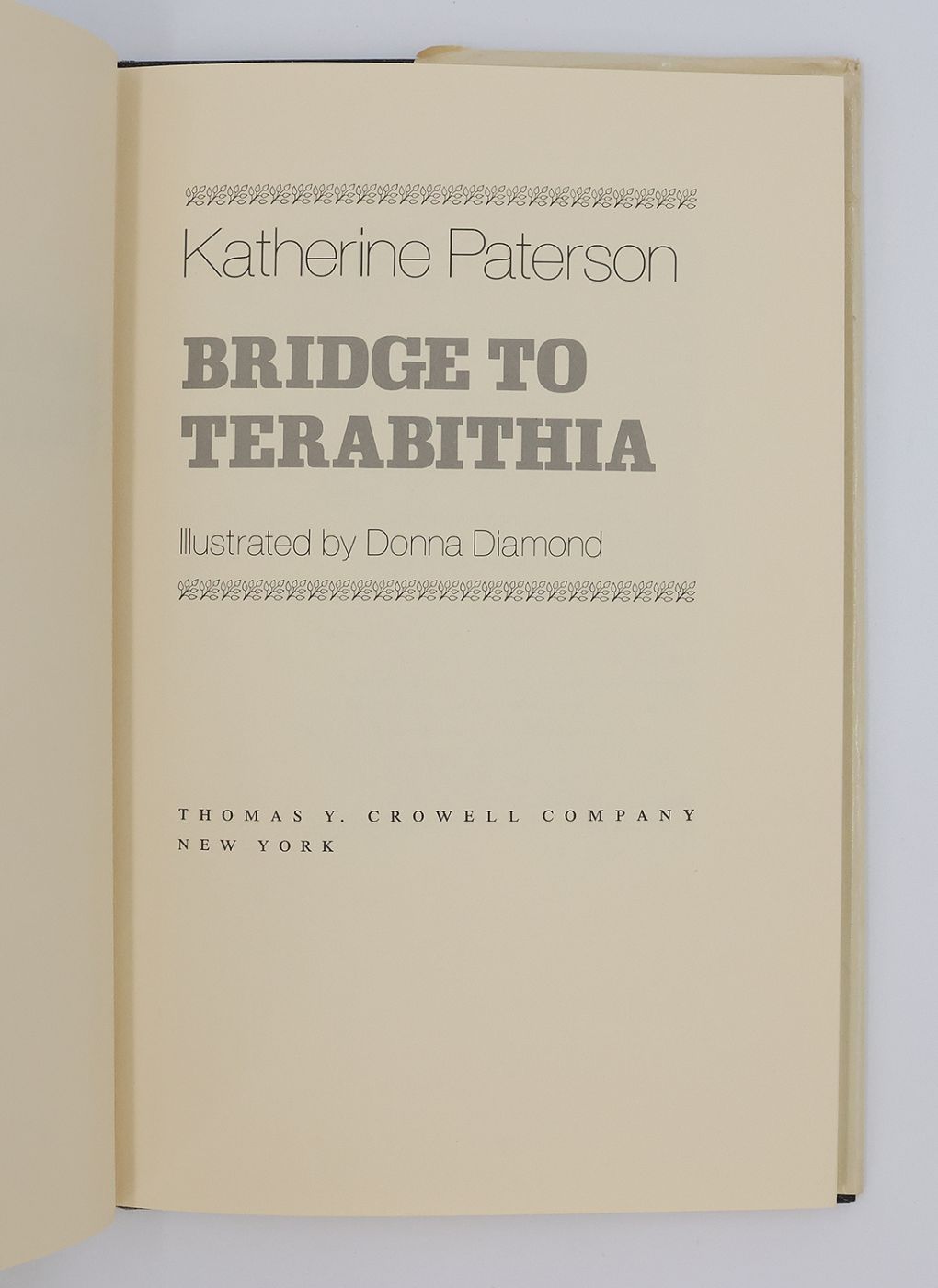 BRIDGE TO TERABITHIA -  image 3