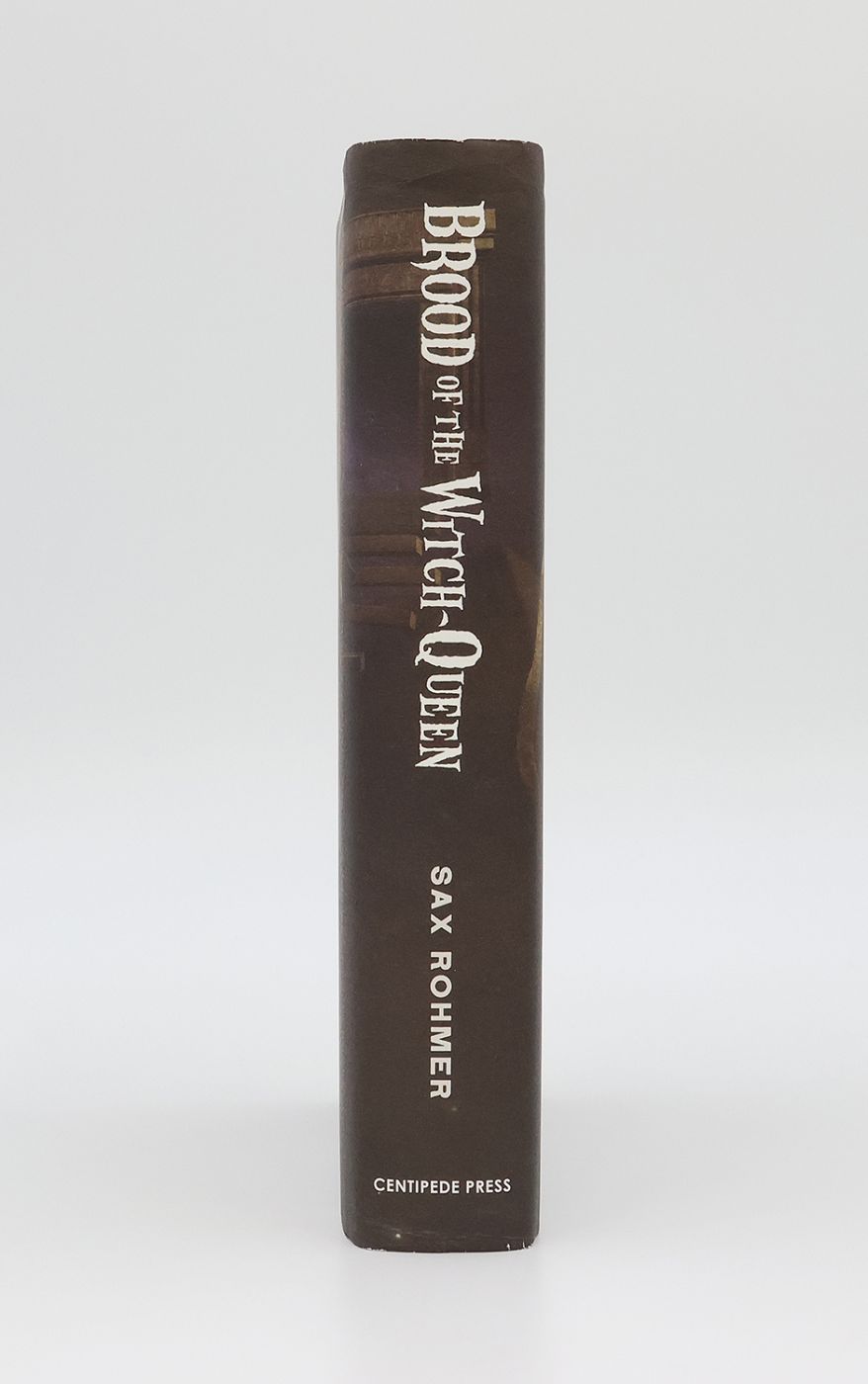 BROOD OF THE WITCH QUEEN -  image 2