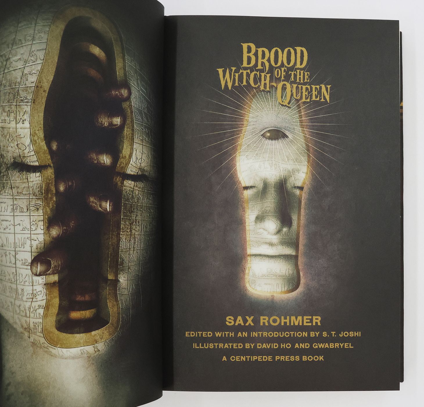 BROOD OF THE WITCH QUEEN -  image 4