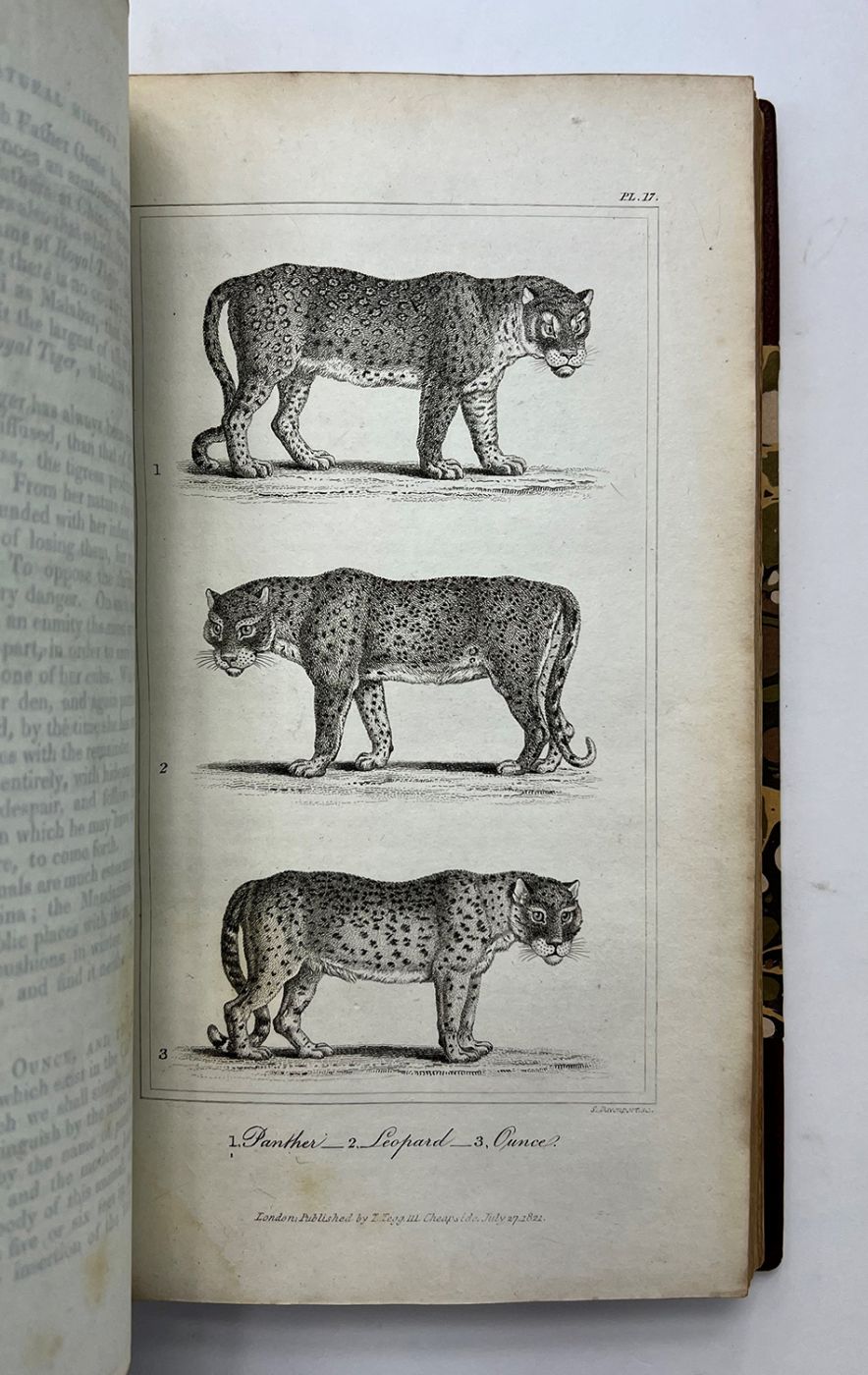 BUFFON'S NATURAL HISTORY ABRIDGED [WITH PROOF PLATES] -  image 5