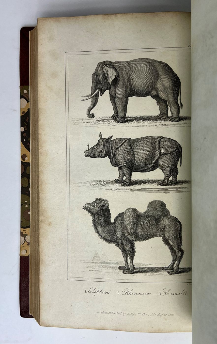 BUFFON'S NATURAL HISTORY ABRIDGED [WITH PROOF PLATES] -  image 6