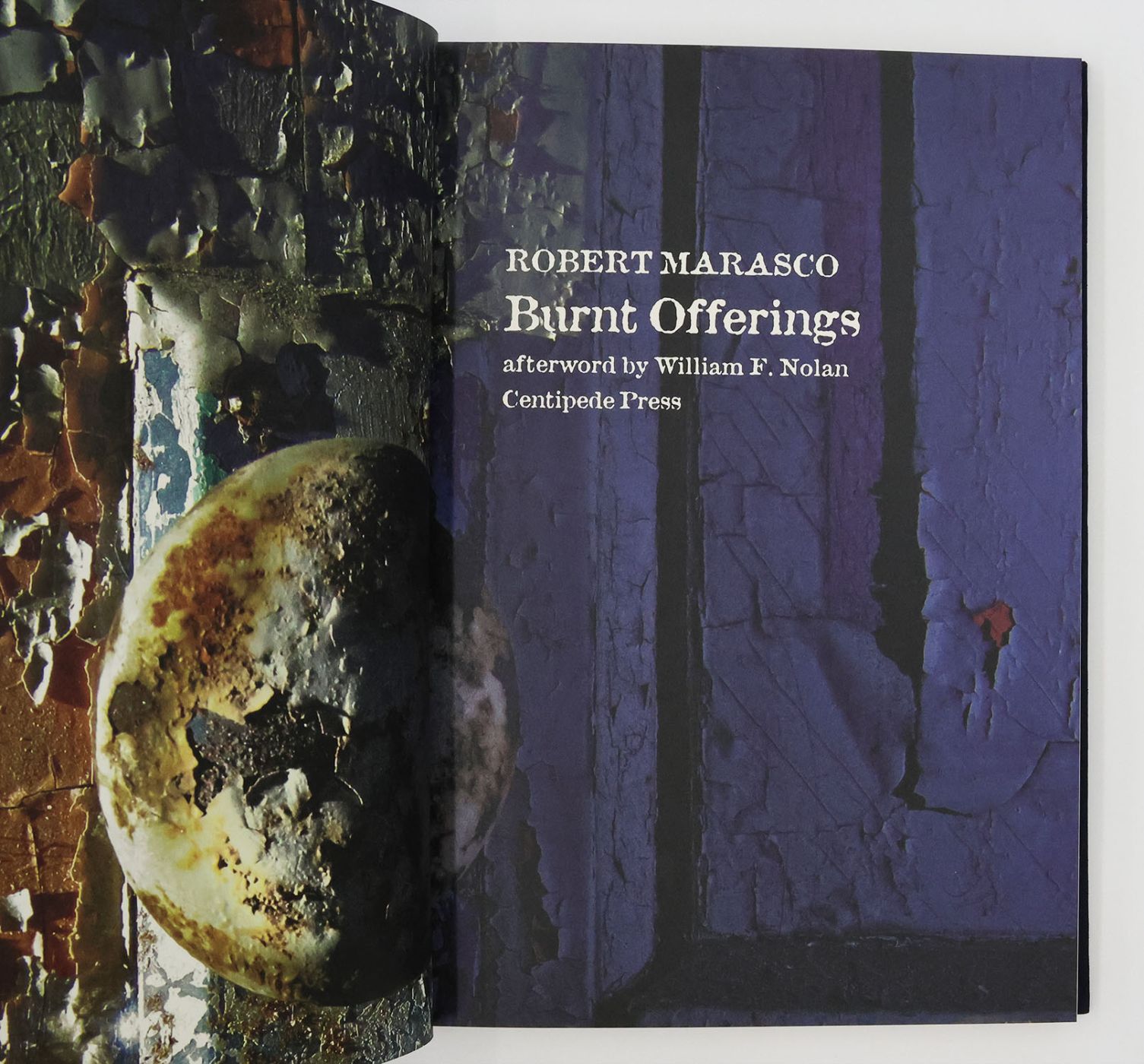 BURNT OFFERINGS -  image 2