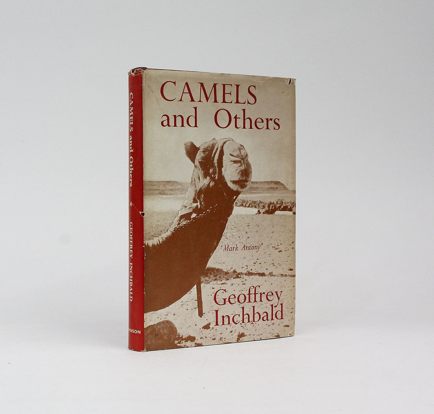 CAMELS AND OTHERS -  image 1