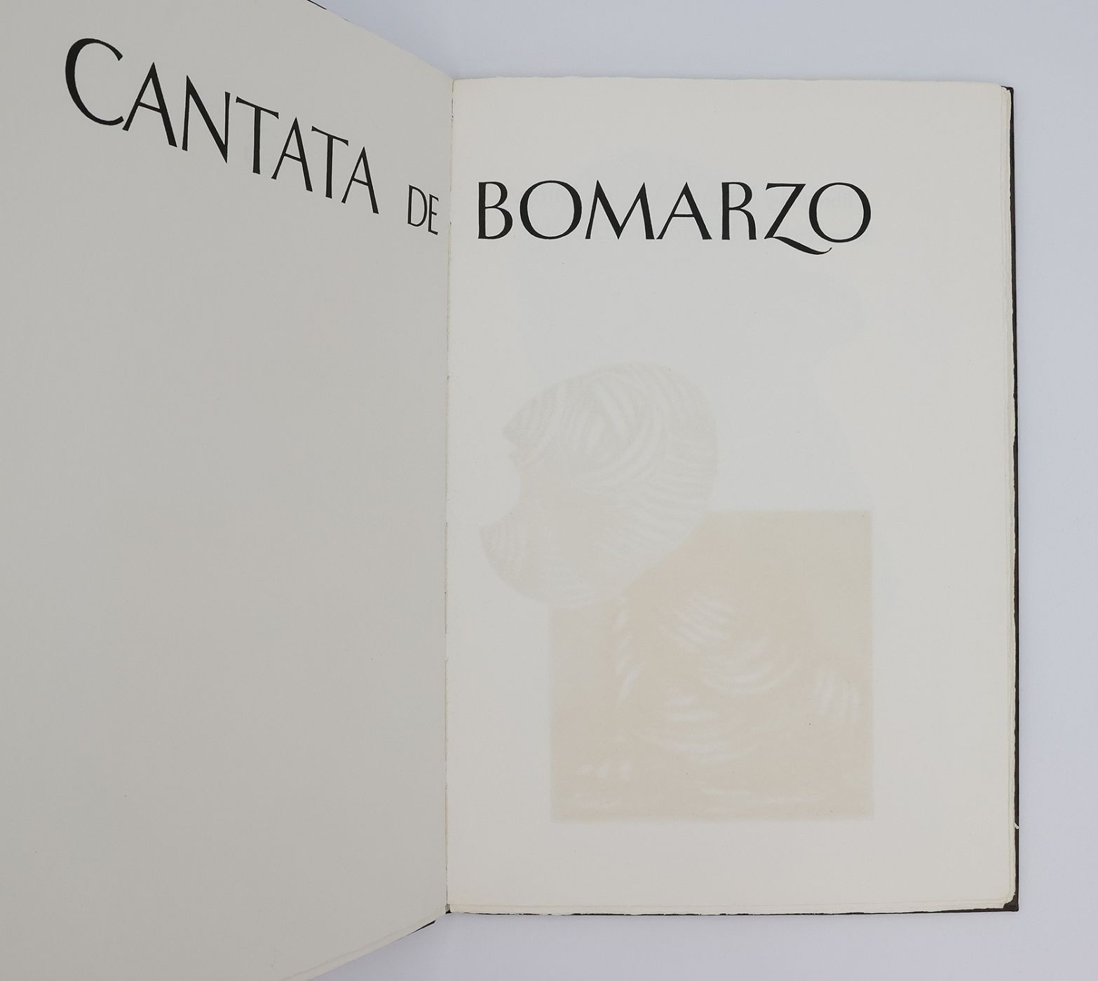 CANTATA DI BOMARZO -  image 4