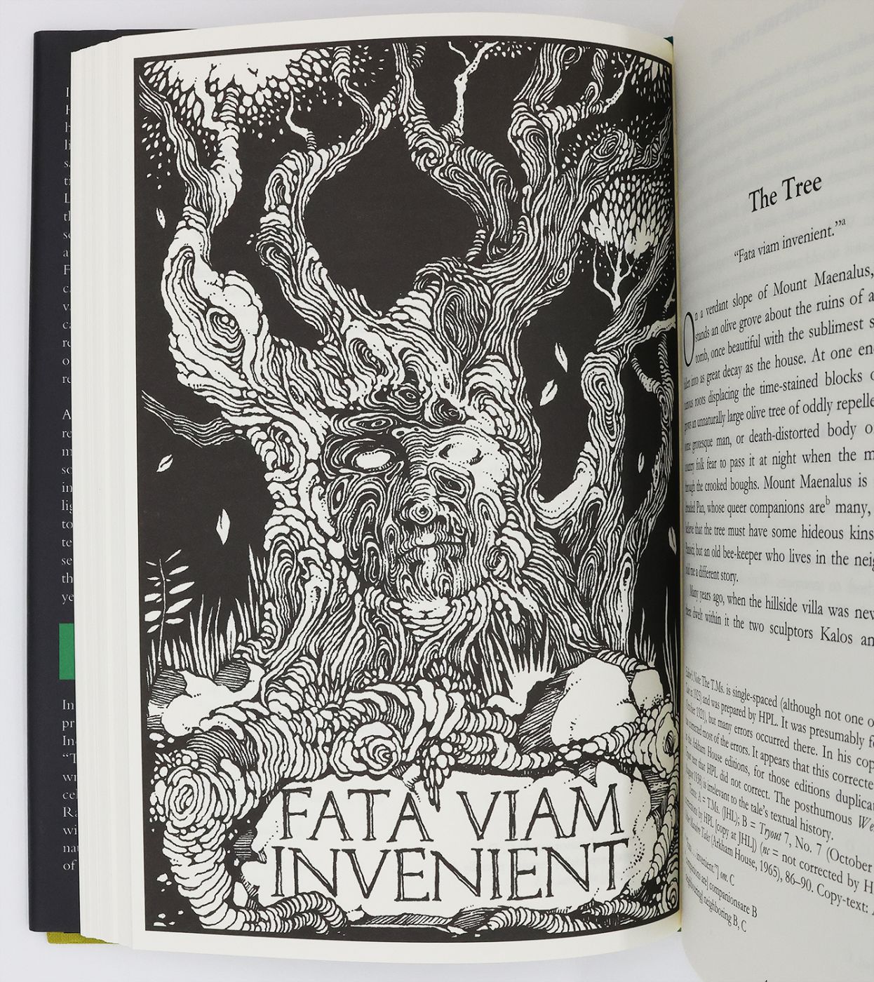 COLLECTED FICTION. -  image 5