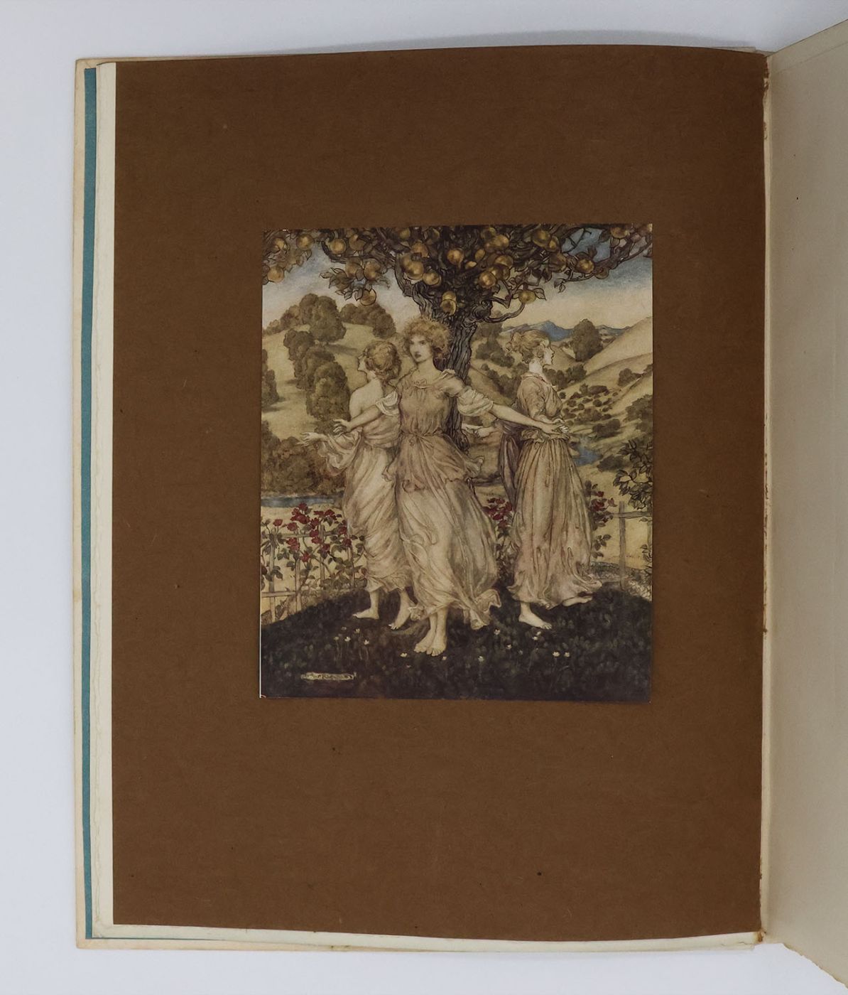 COMUS -  image 6