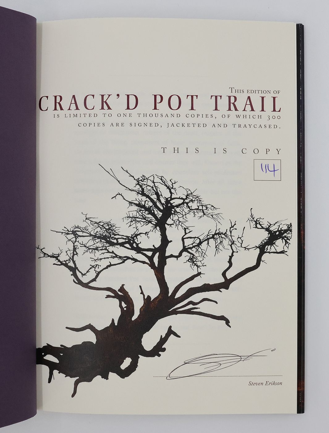 CRACK'D POT TRAIL. -  image 4