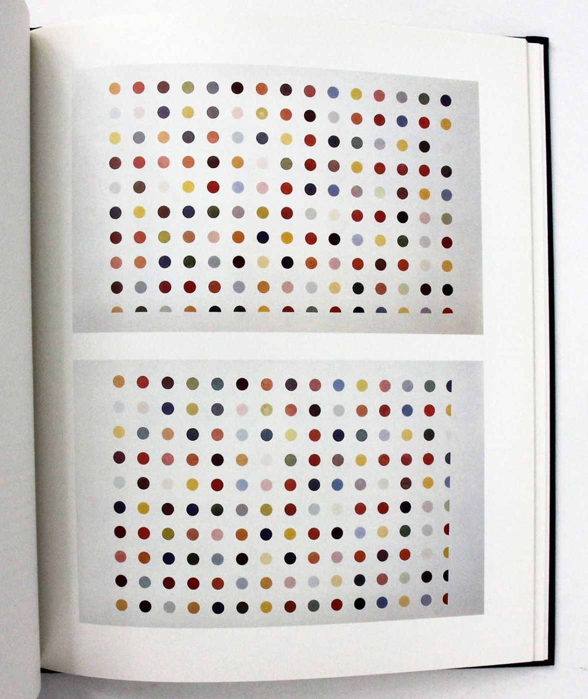 DAMIEN HIRST. INTERNAL AFFAIRS. -  image 4