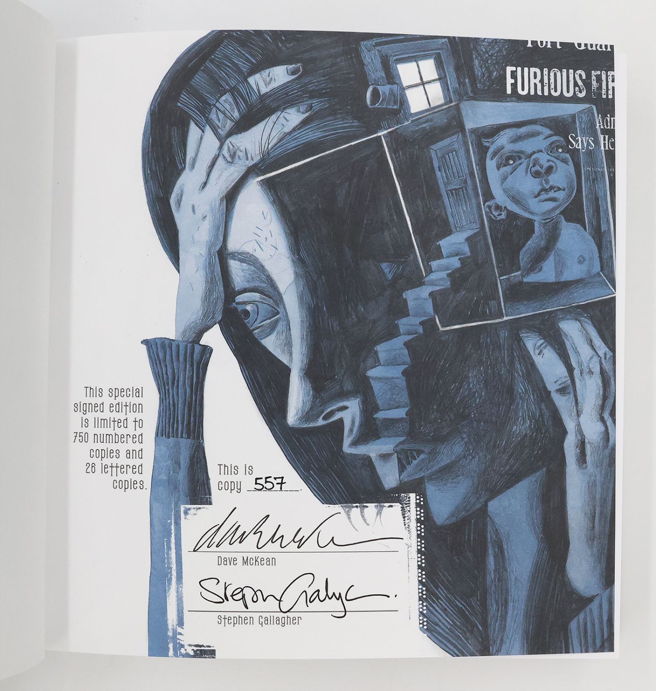 DARK CARNIVAL -  image 5