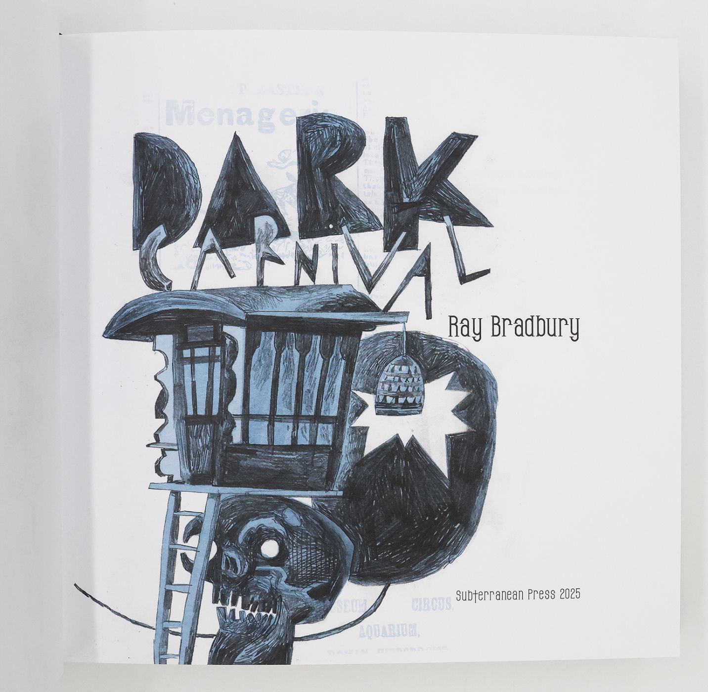 DARK CARNIVAL -  image 6