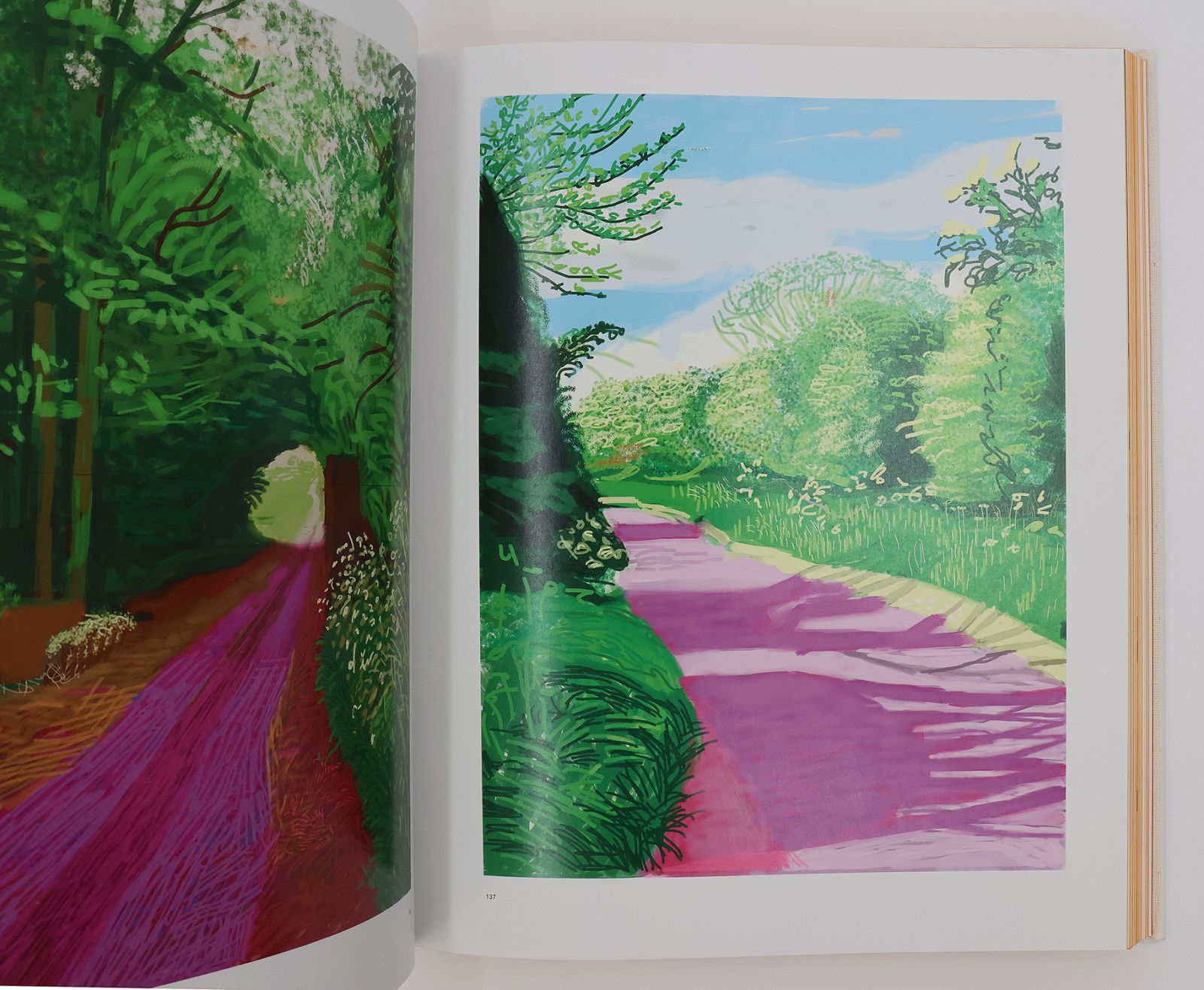 DAVID HOCKNEY: CURRENT. -  image 10