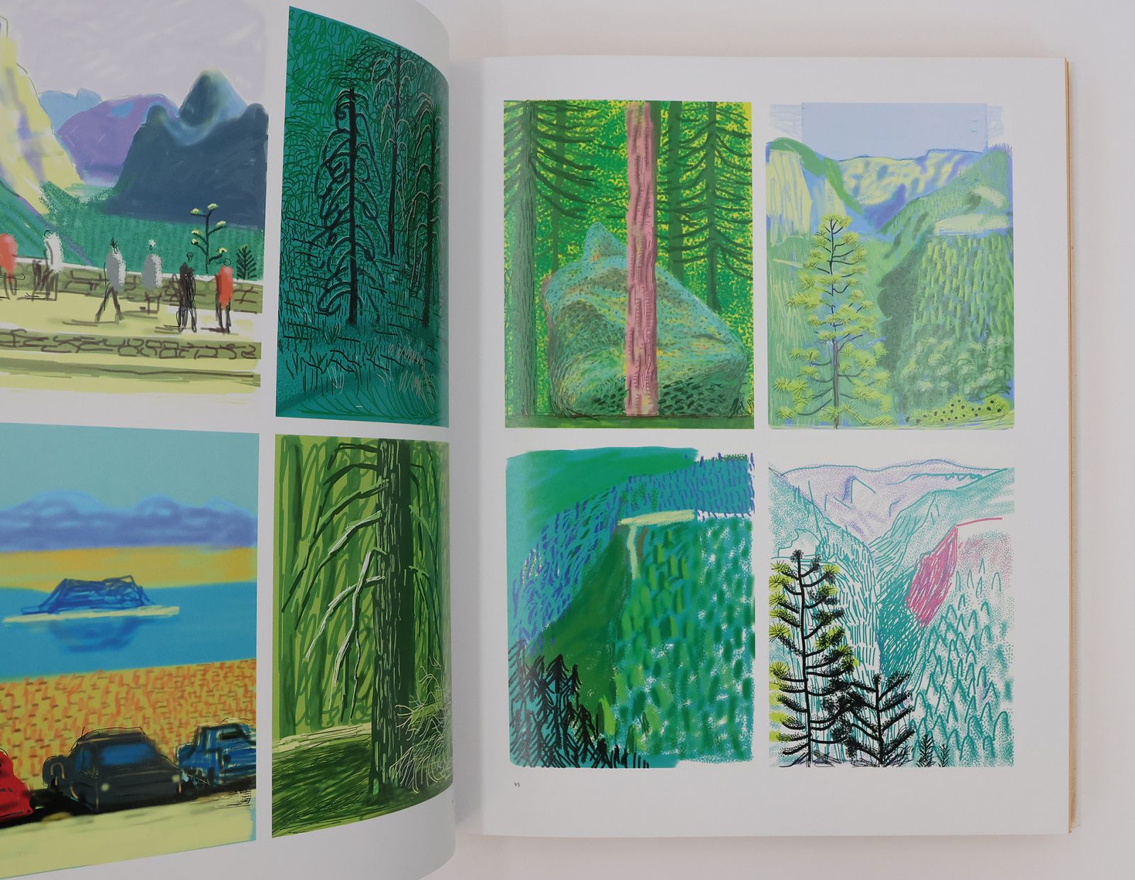 DAVID HOCKNEY: CURRENT. -  image 8