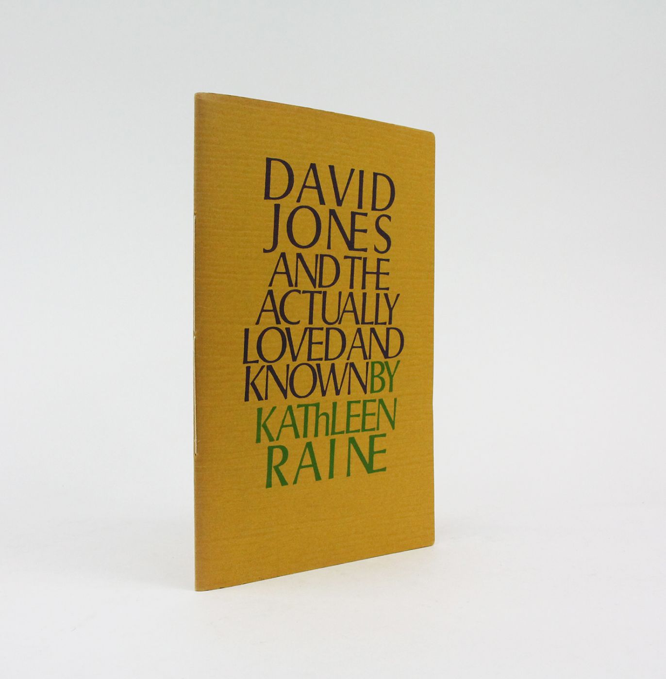 DAVID JONES AND THE ACTUALLY LOVED AND KNOWN -  image 1