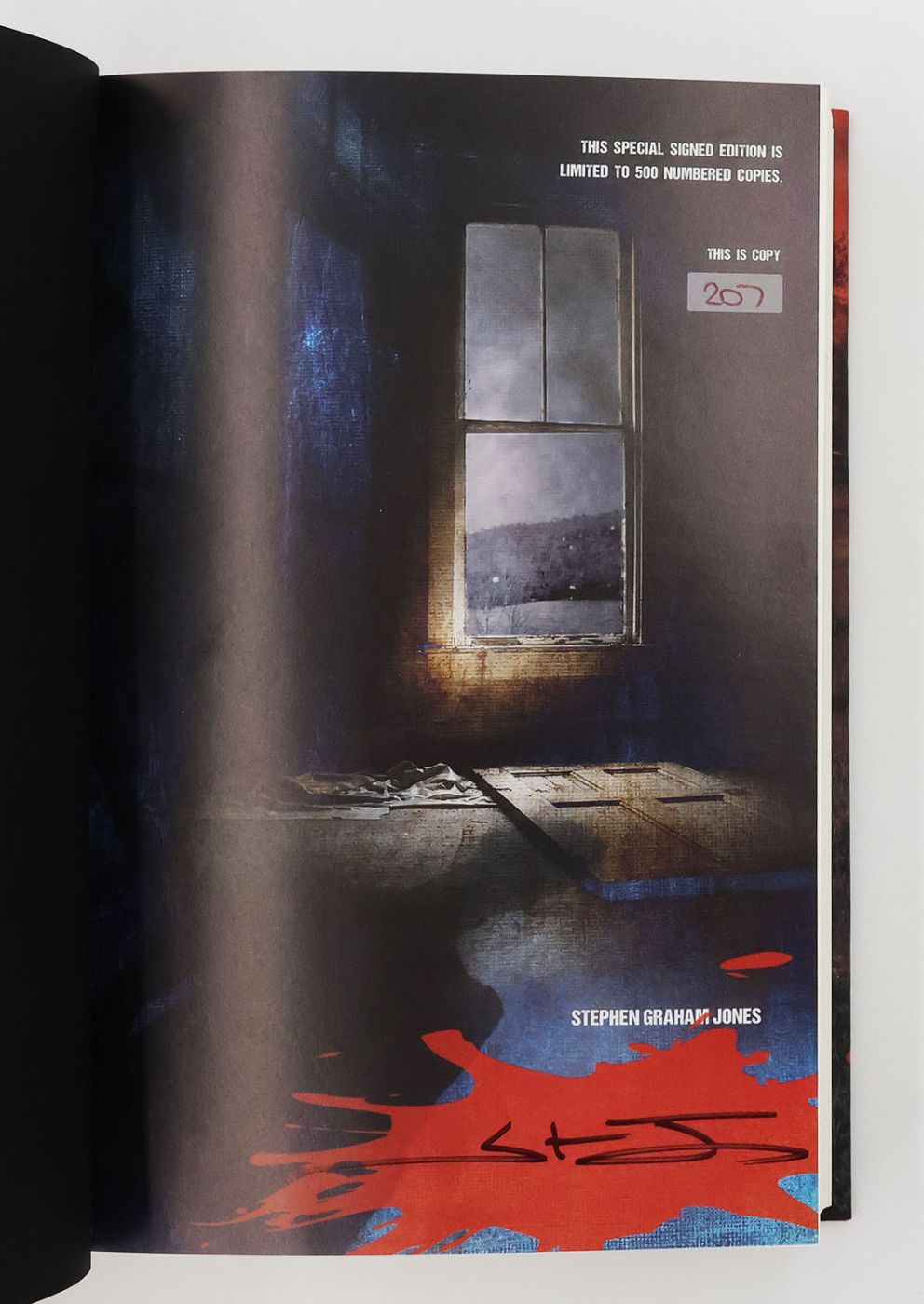 DEMON THEORY -  image 2