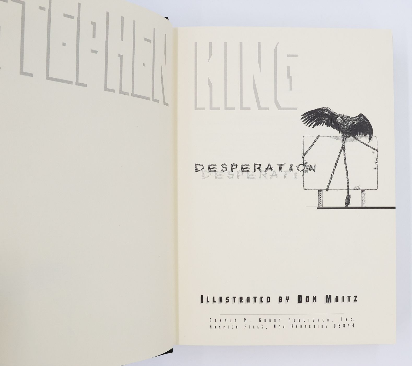 DESPERATION -  image 7