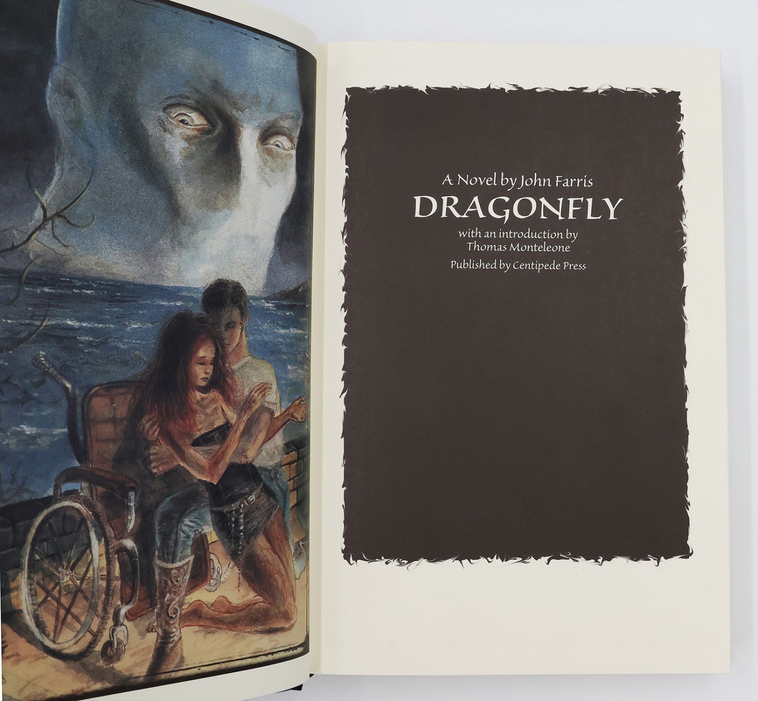 DRAGONFLY -  image 3