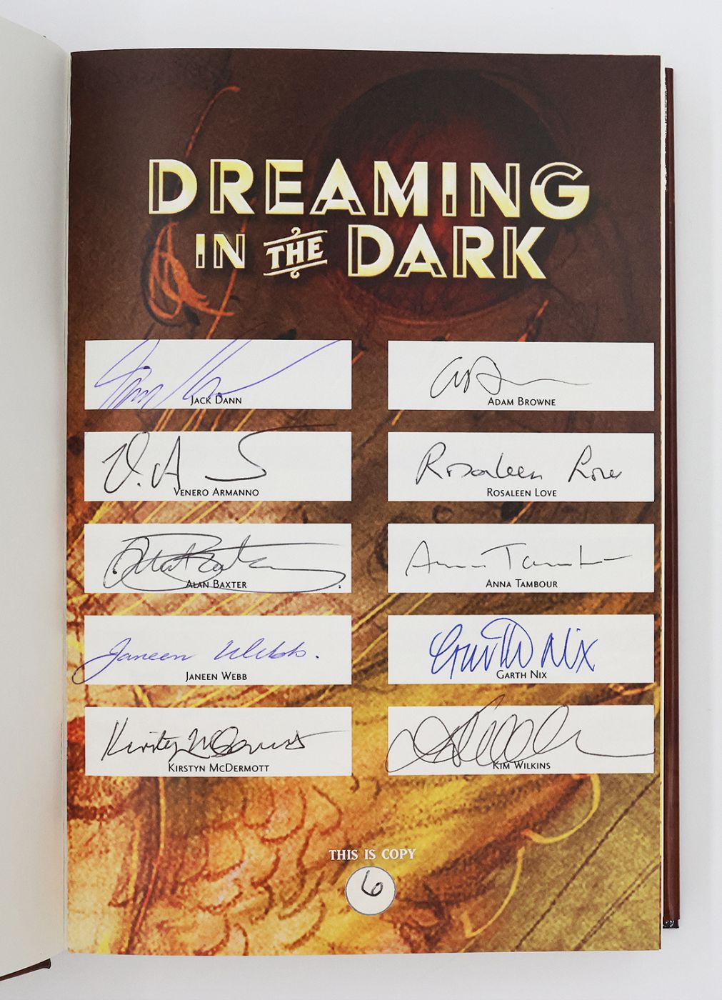 DREAMING IN THE DARK -  image 3