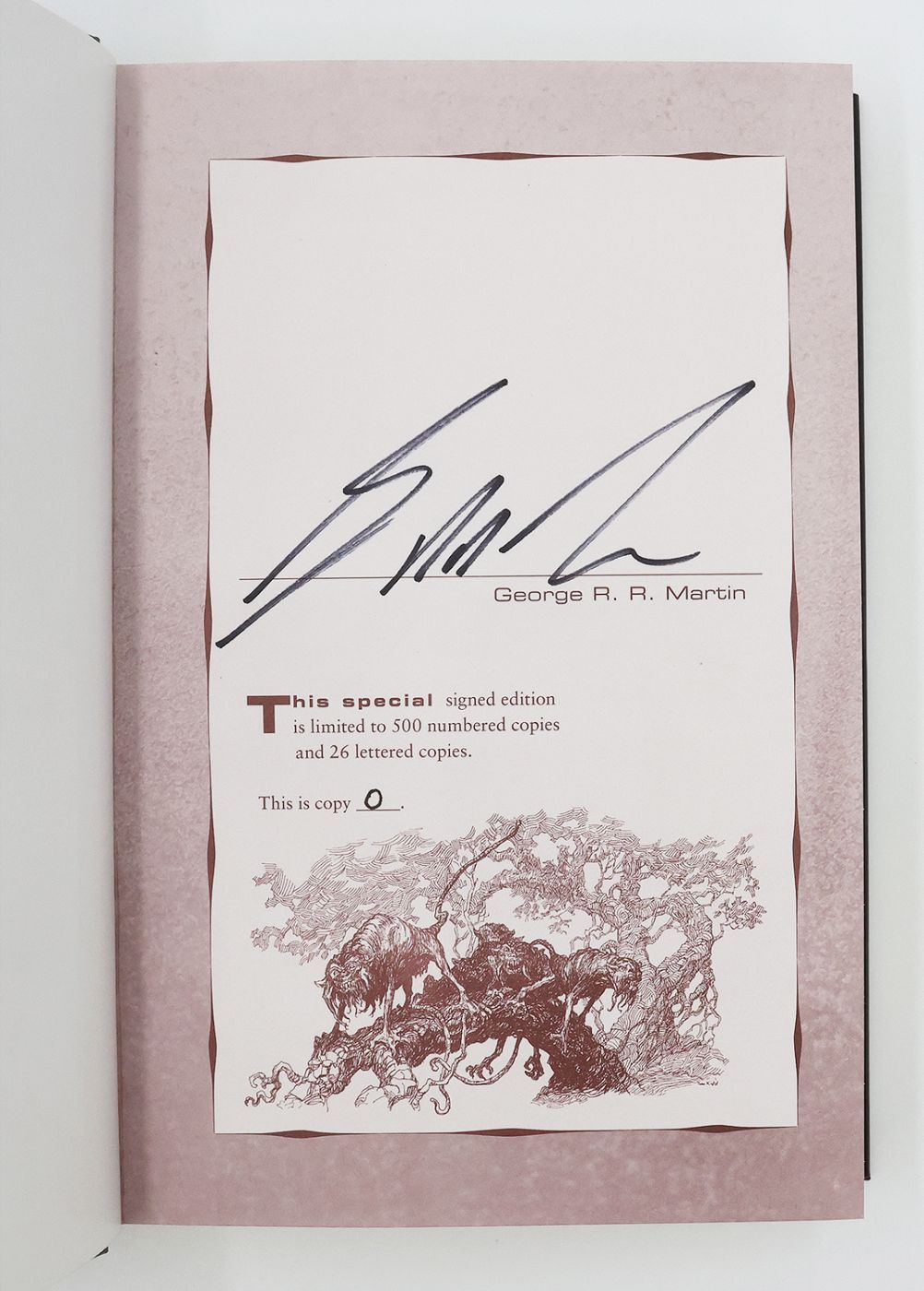 DYING OF THE LIGHT -  image 2