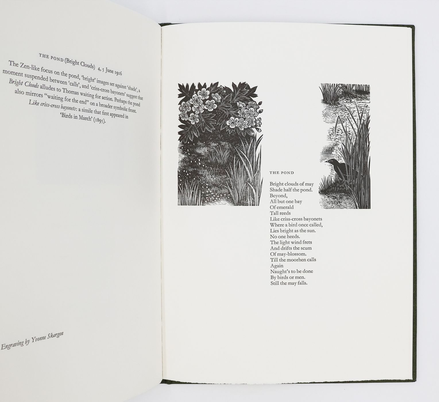 EDWARD THOMAS: WORDS INTO WOOD -  image 5