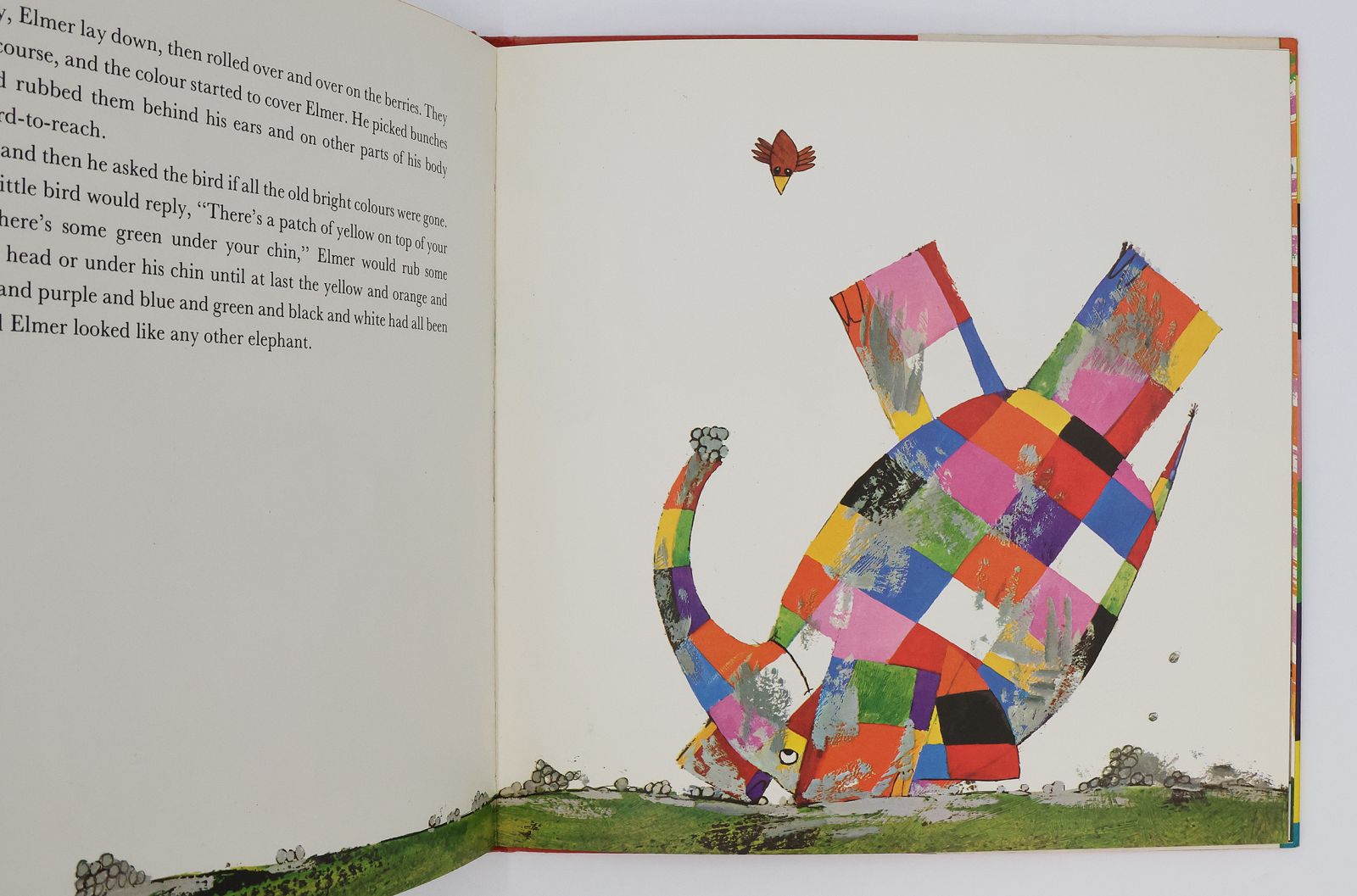 ELMER -  image 4