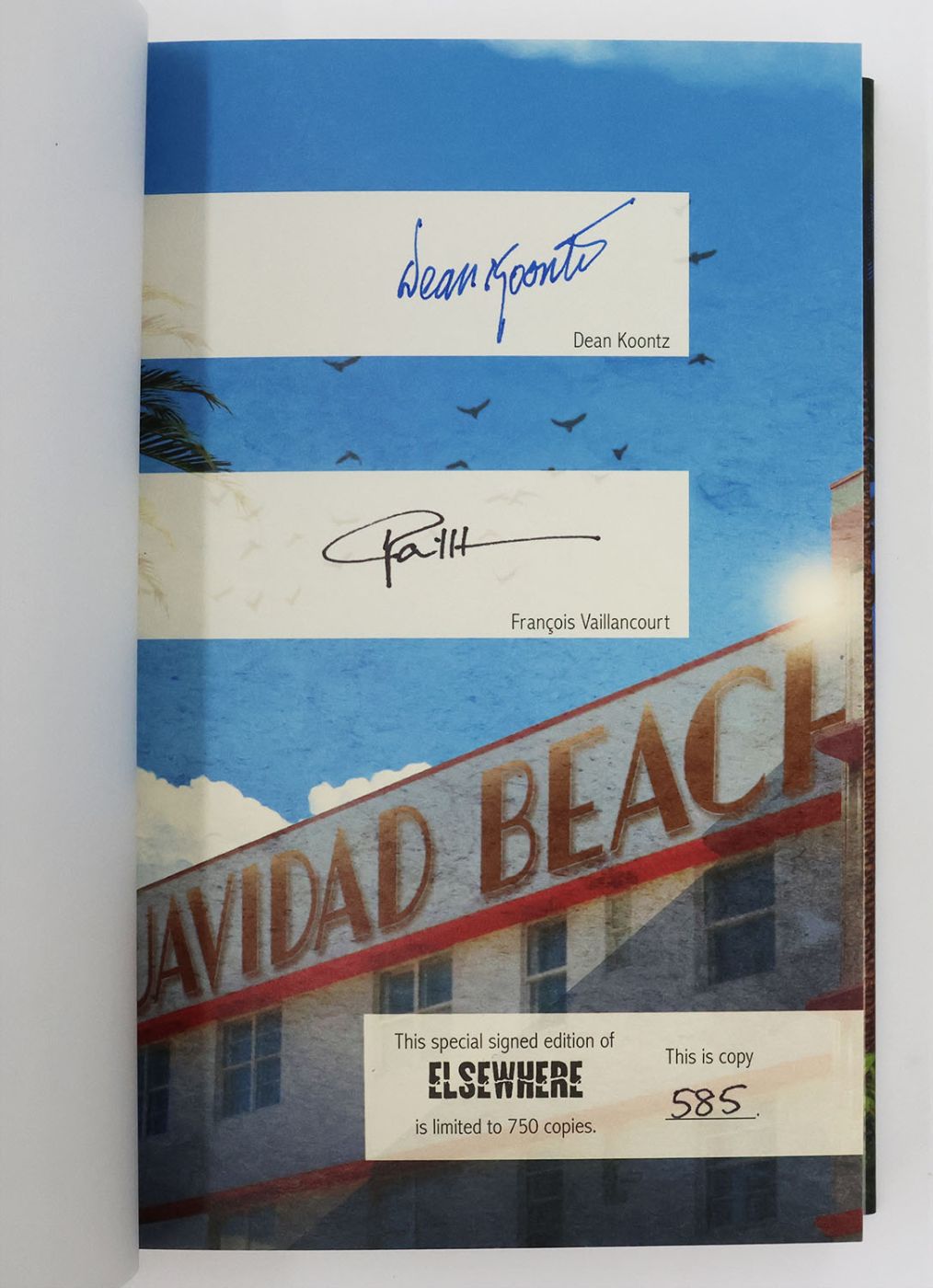 ELSEWHERE -  image 4