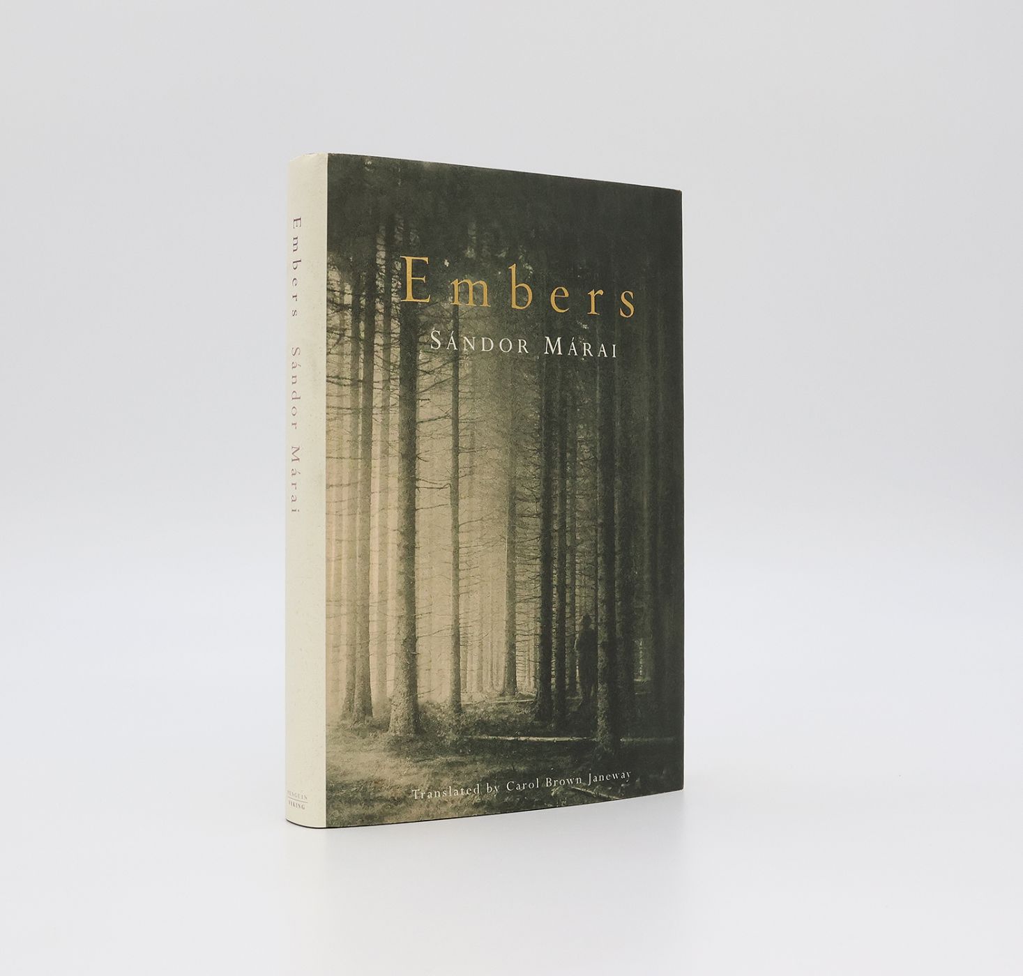 EMBERS -  image 1