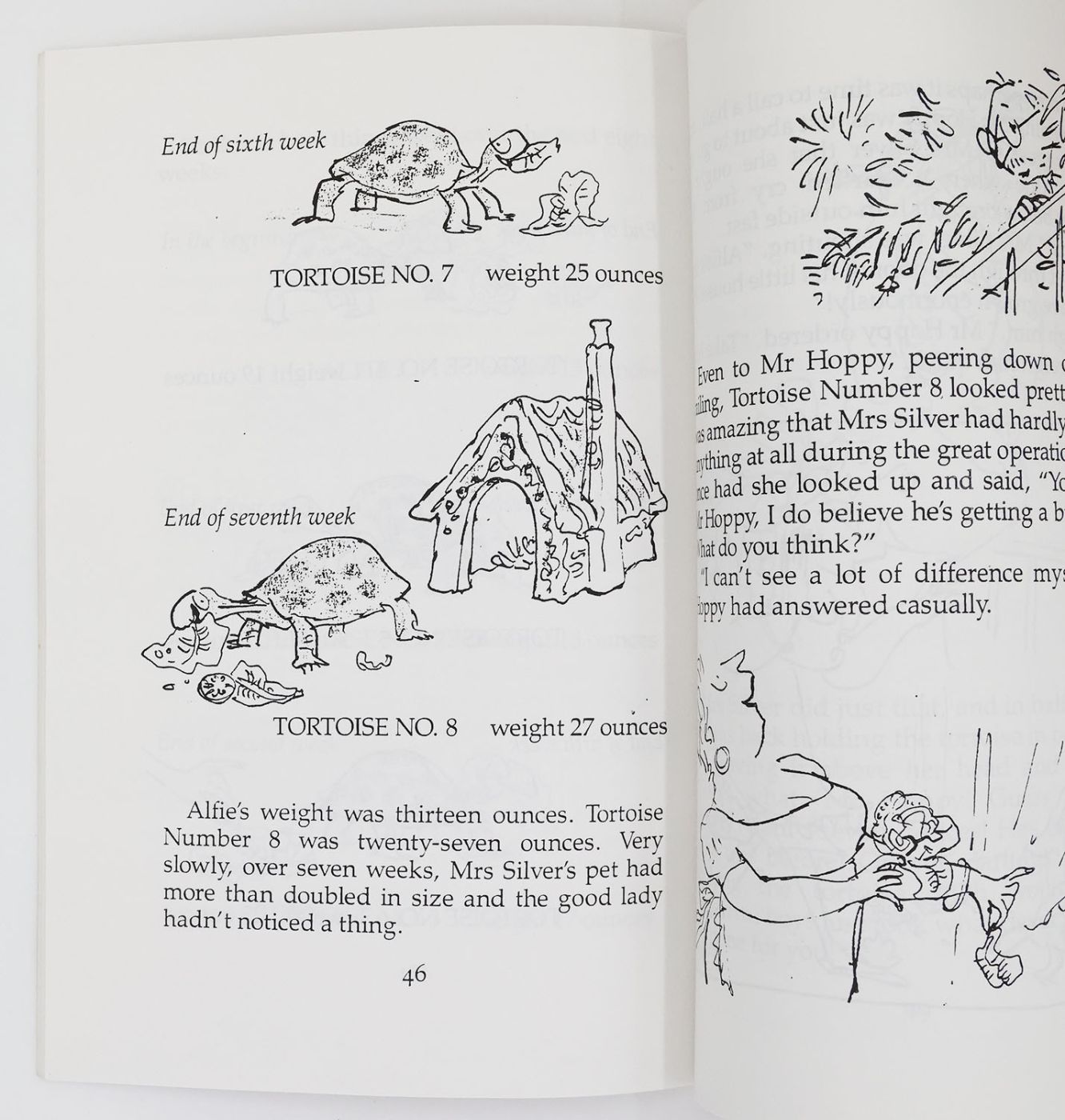 ESIO TROT -  image 4