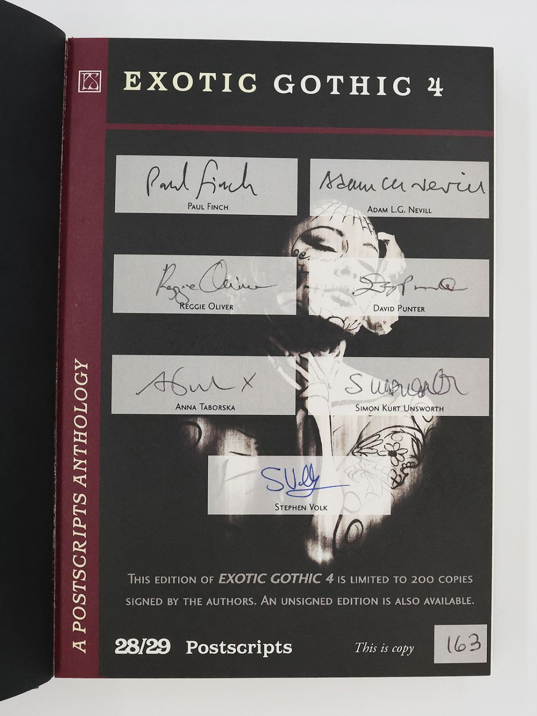 EXOTIC GOTHIC 4. -  image 3