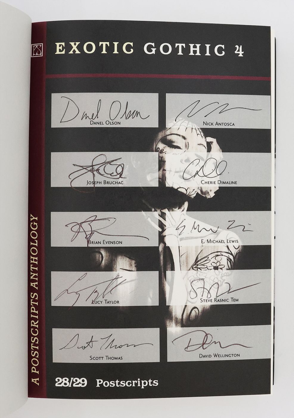 EXOTIC GOTHIC 4. -  image 4