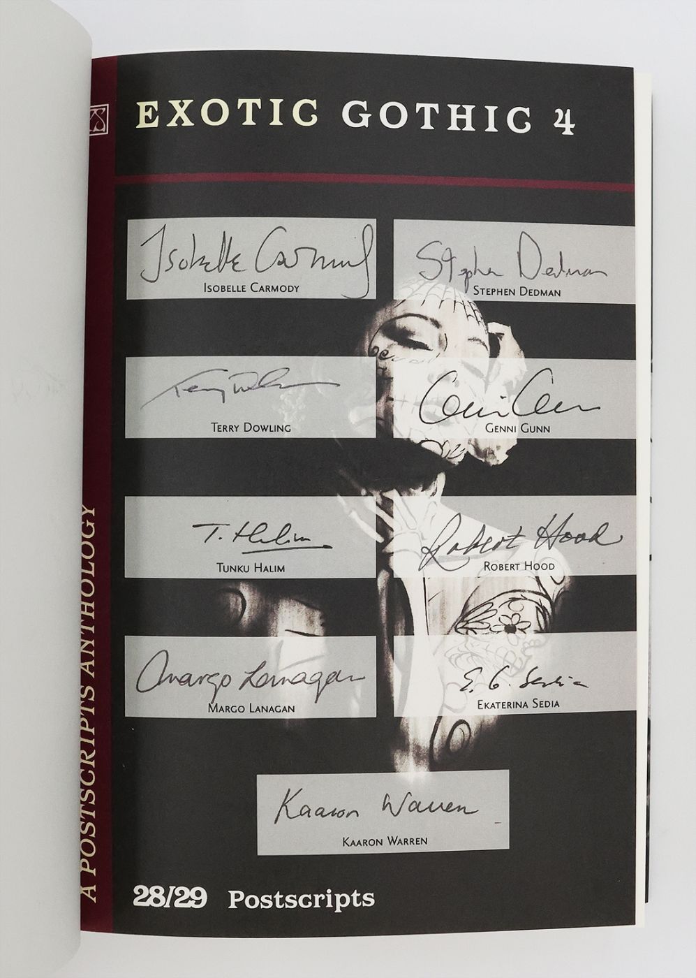 EXOTIC GOTHIC 4. -  image 5