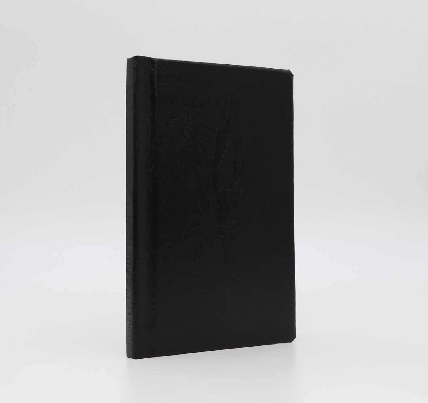 FIND THE TORCH. -  image 1