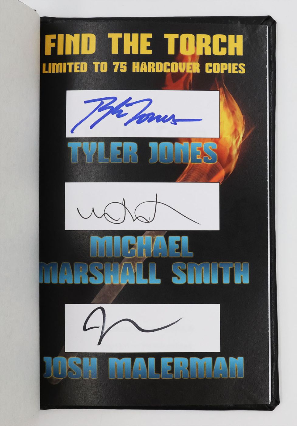 FIND THE TORCH. -  image 3