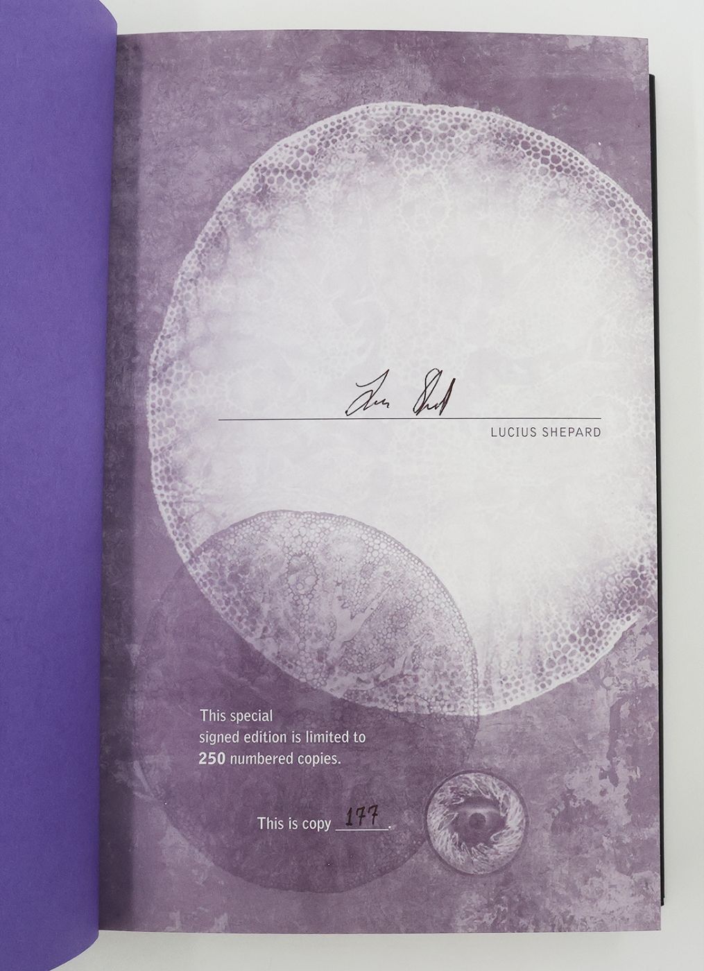 FIVE AUTOBIOGRAPHIES AND A FICTION -  image 2