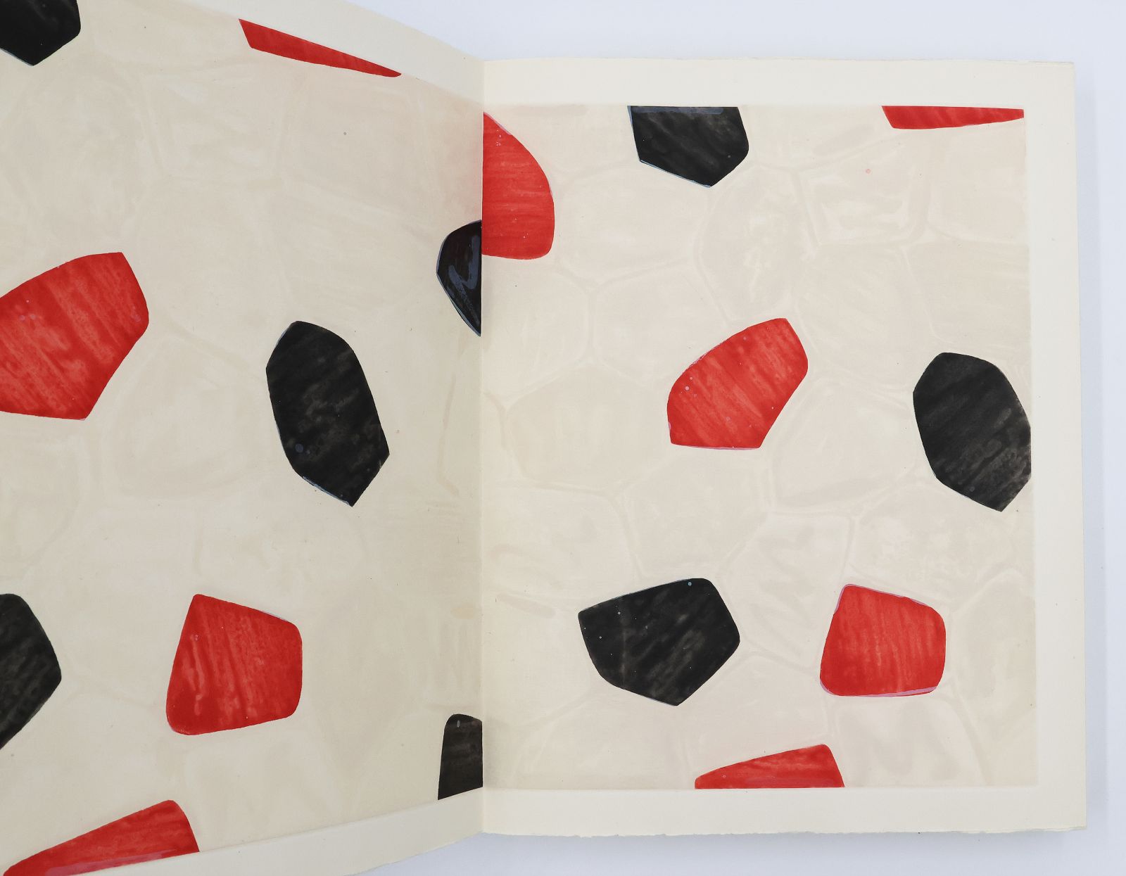 FOIRADES / FIZZLES -  image 8